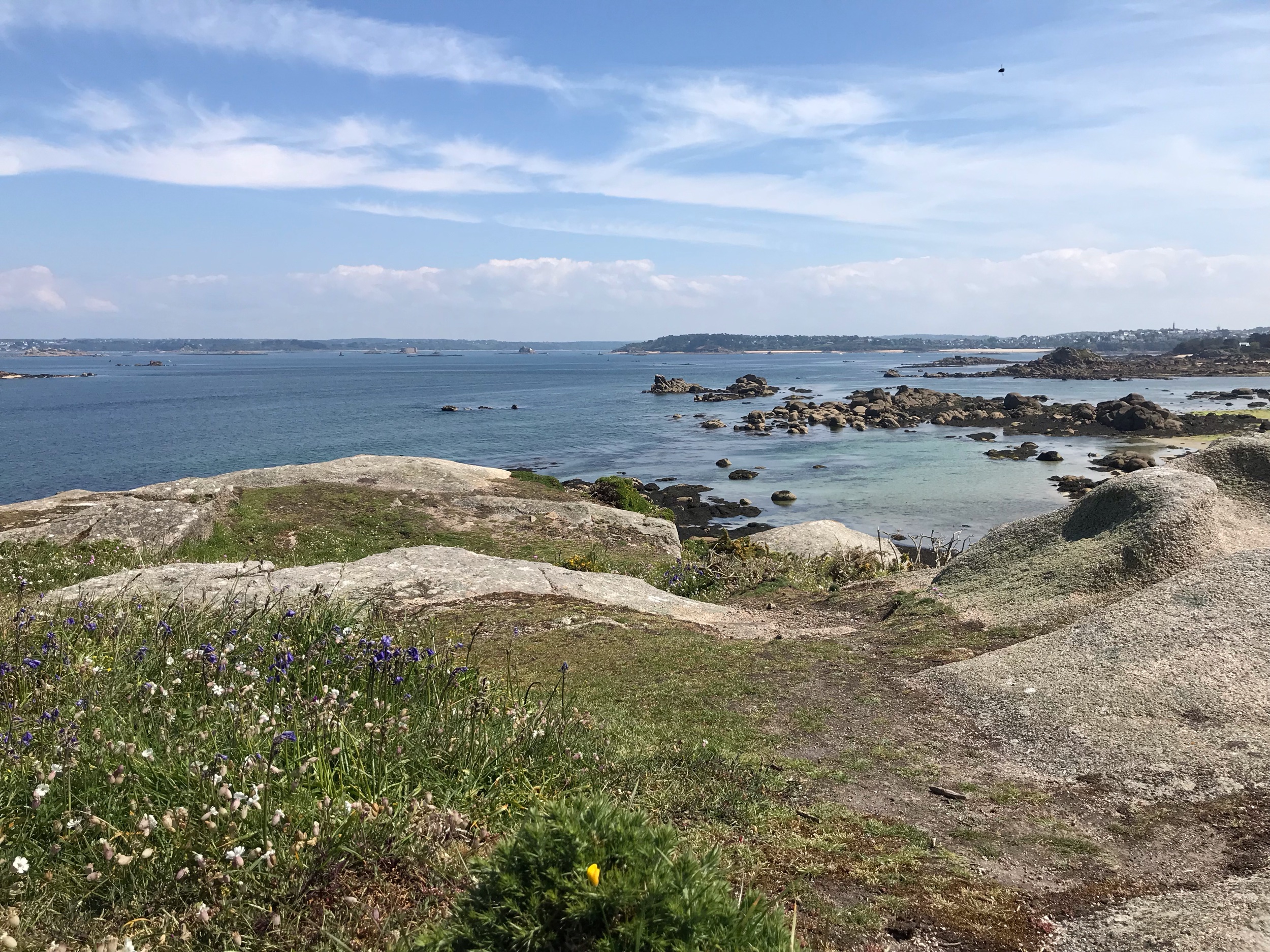 IMG_8009.jpeg