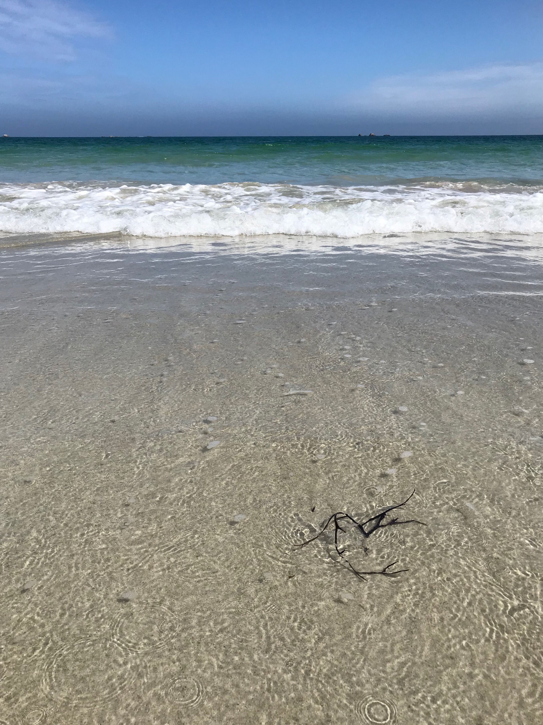 IMG_8245.jpeg
