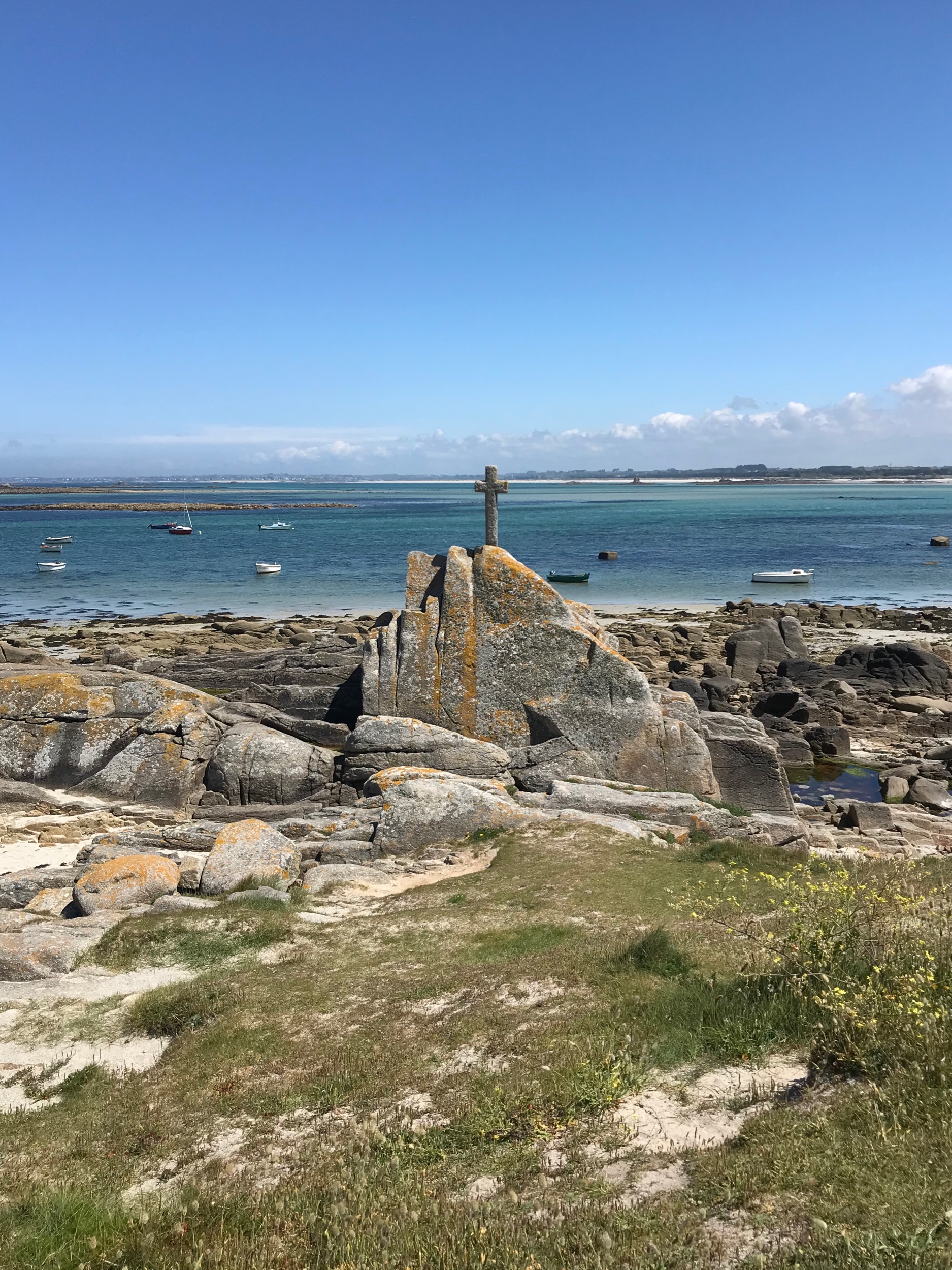 IMG_8257.jpeg