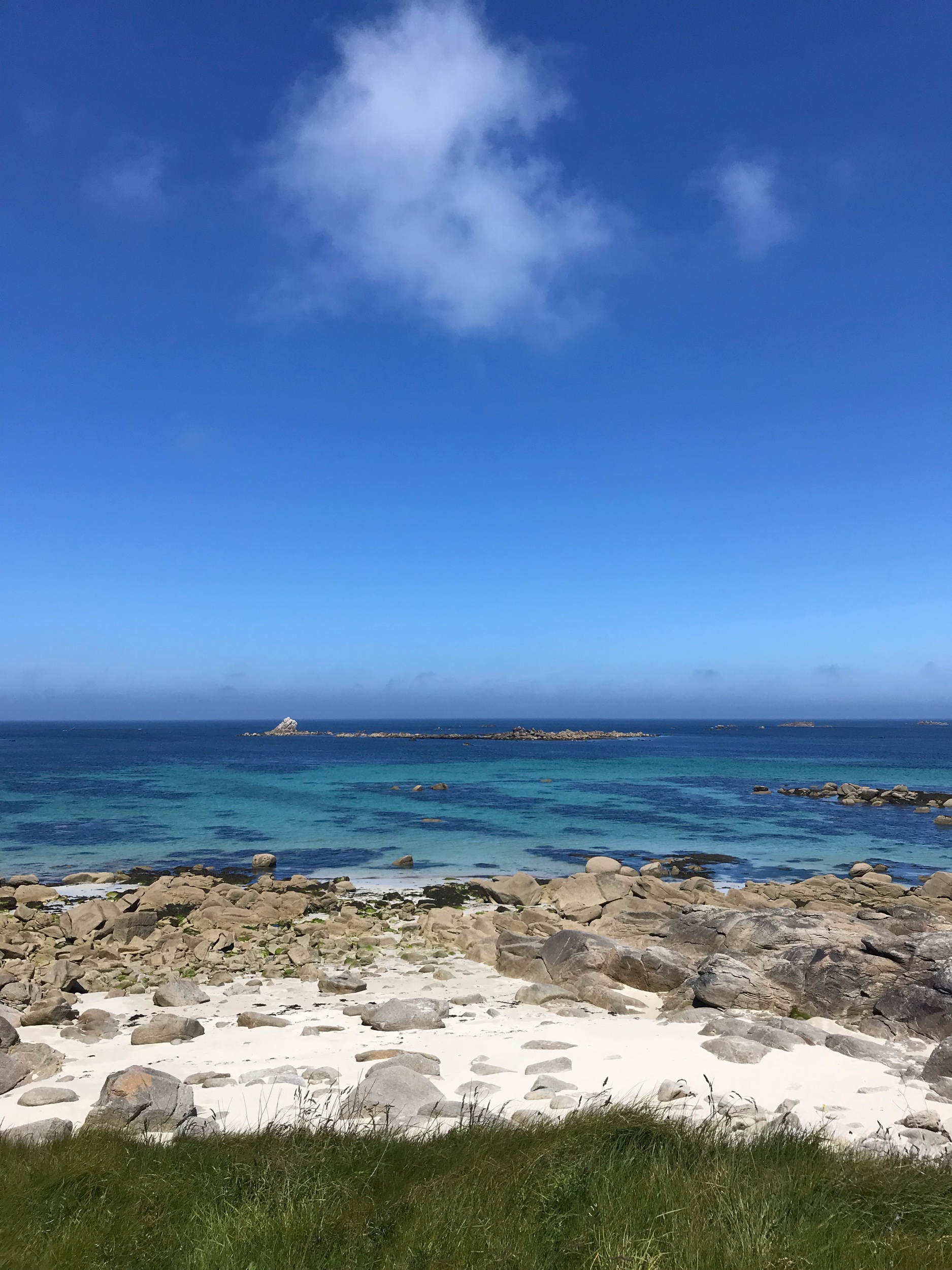 IMG_8258.jpeg