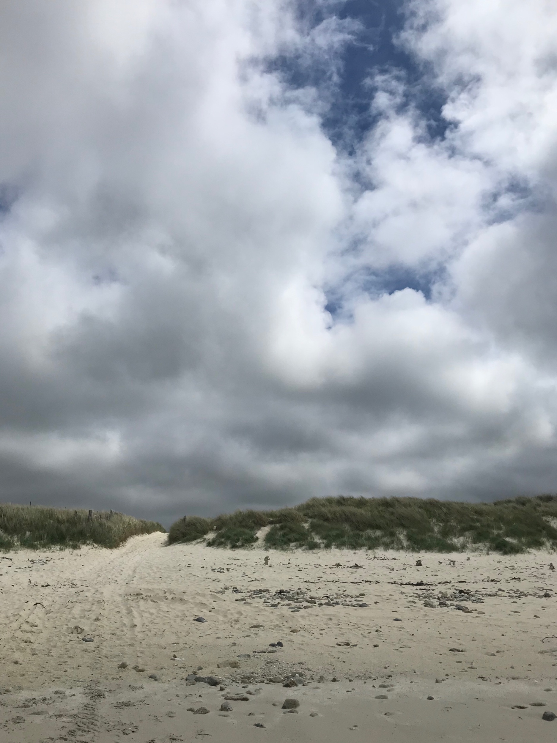 IMG_8278.jpeg