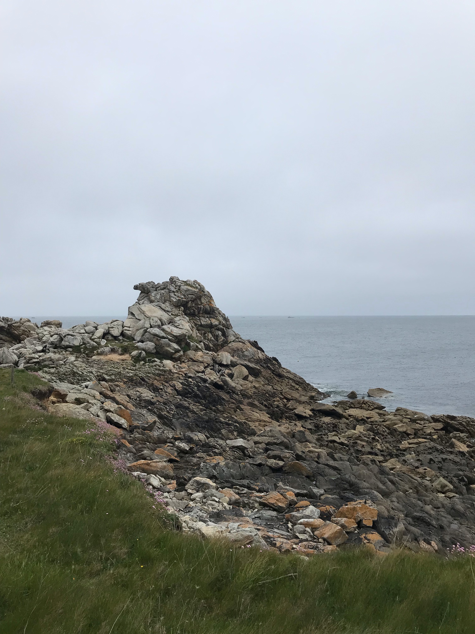 IMG_8286.jpeg
