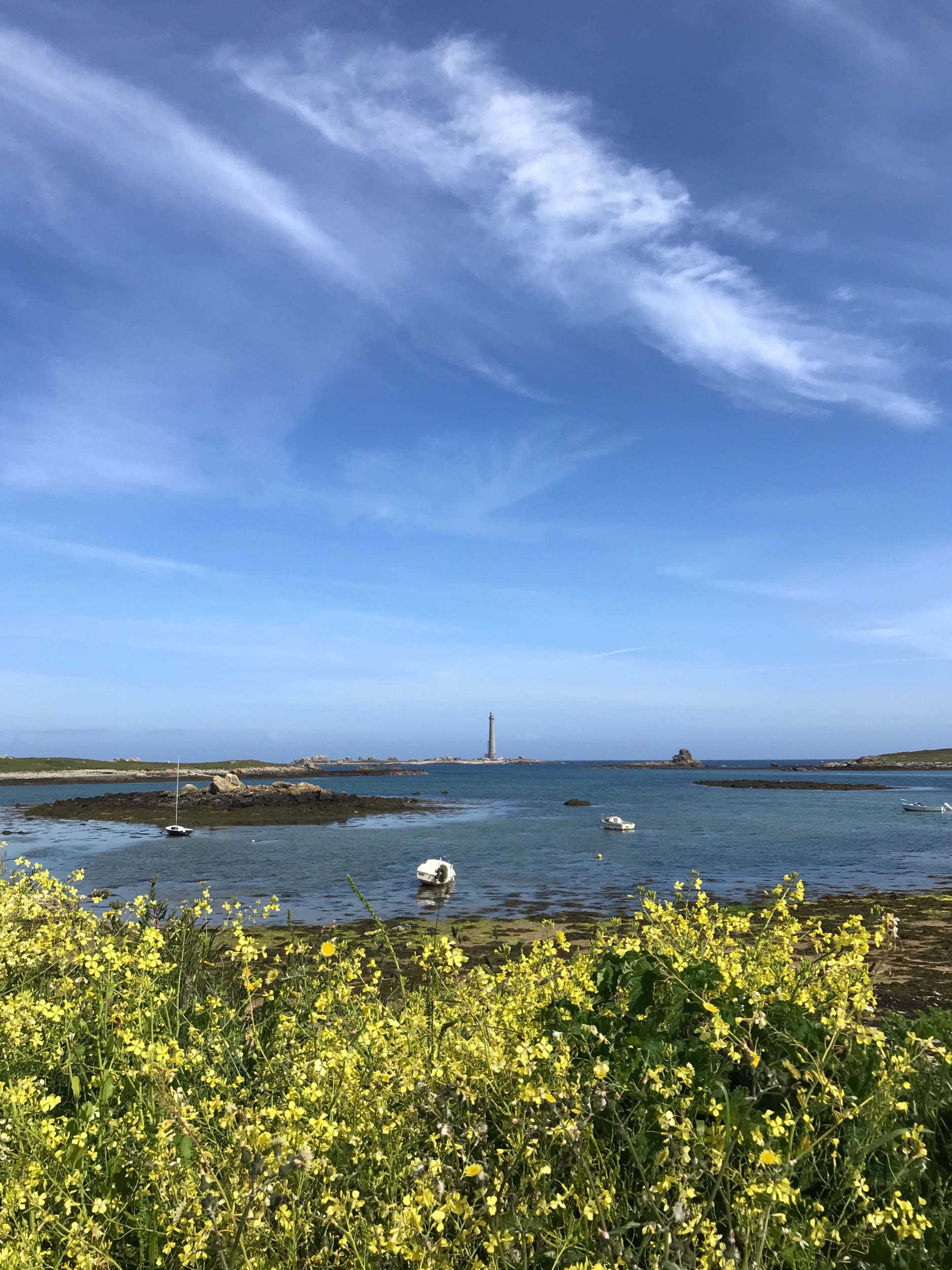 IMG_8299.jpeg