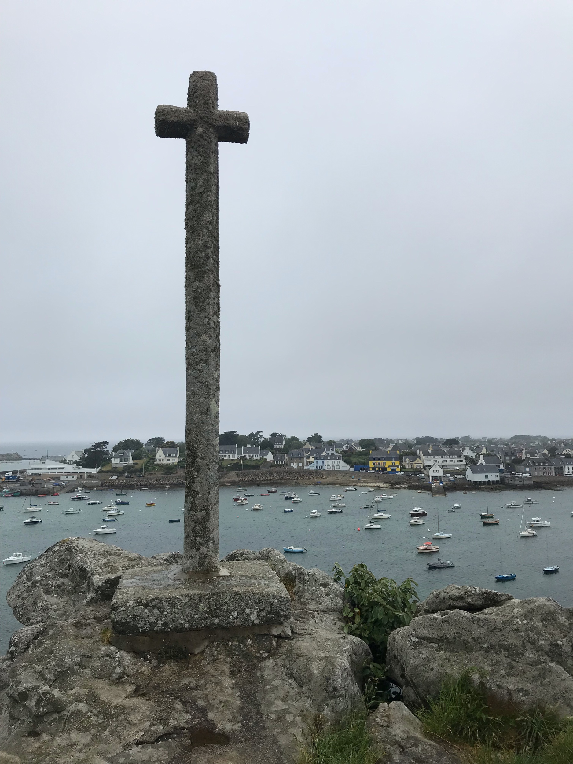 IMG_8411.jpeg