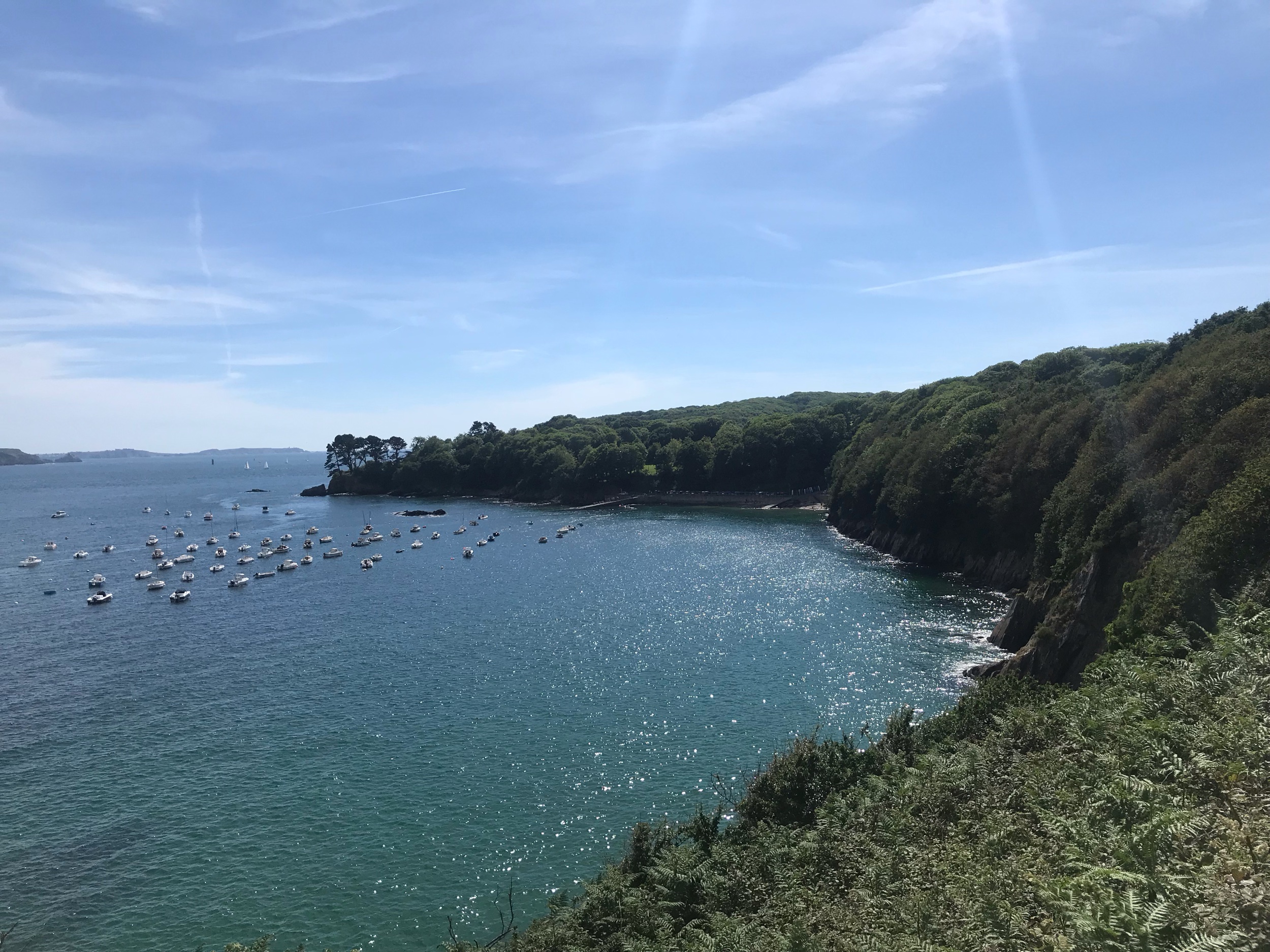 IMG_8666.jpeg