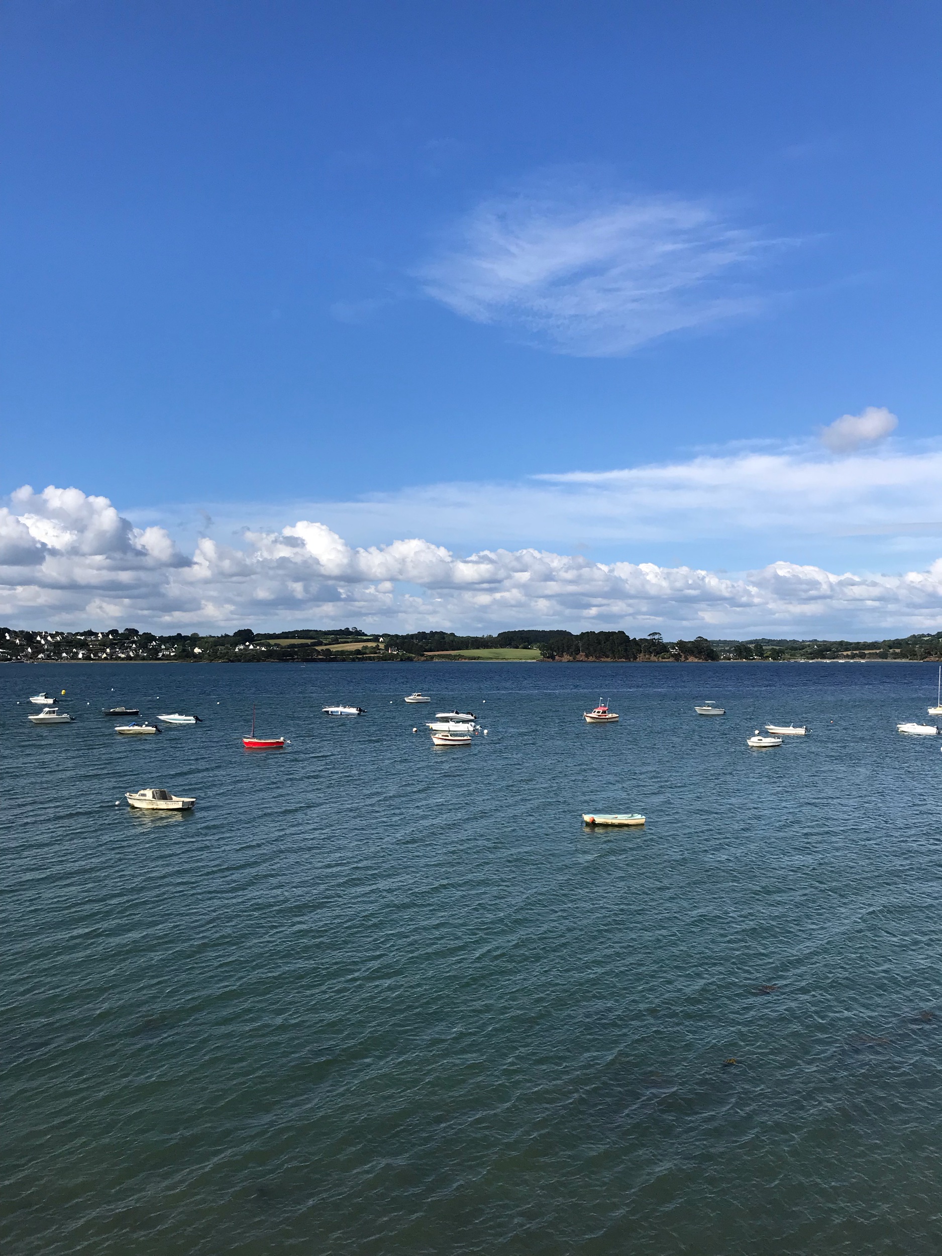 IMG_9061.jpeg
