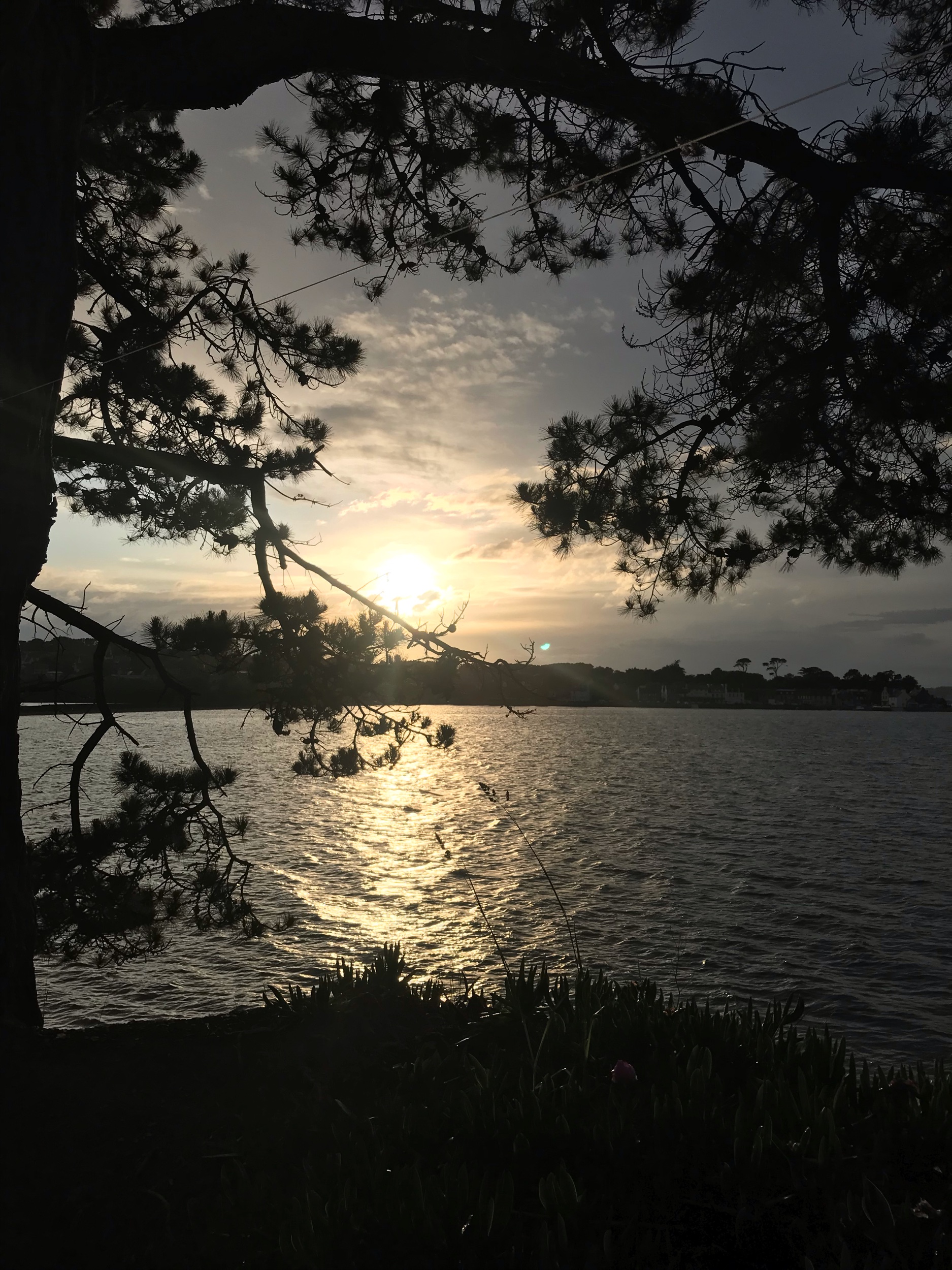 IMG_9149.jpeg