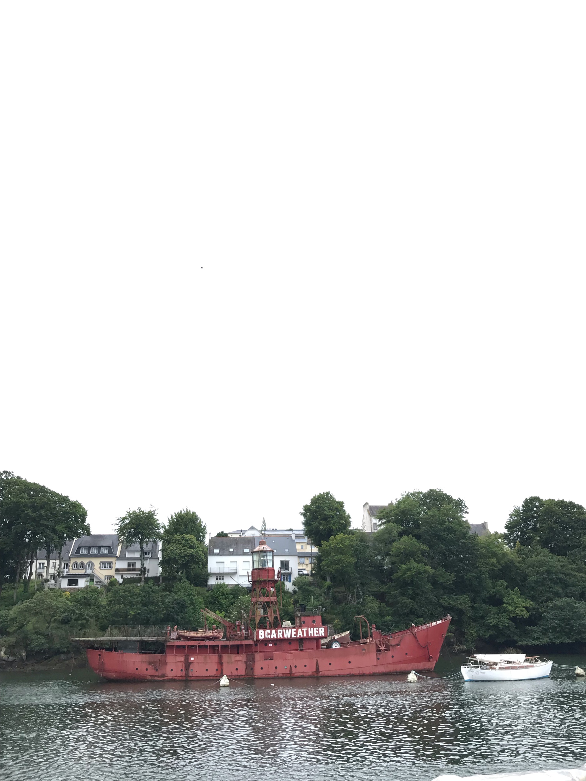IMG_9486.jpeg