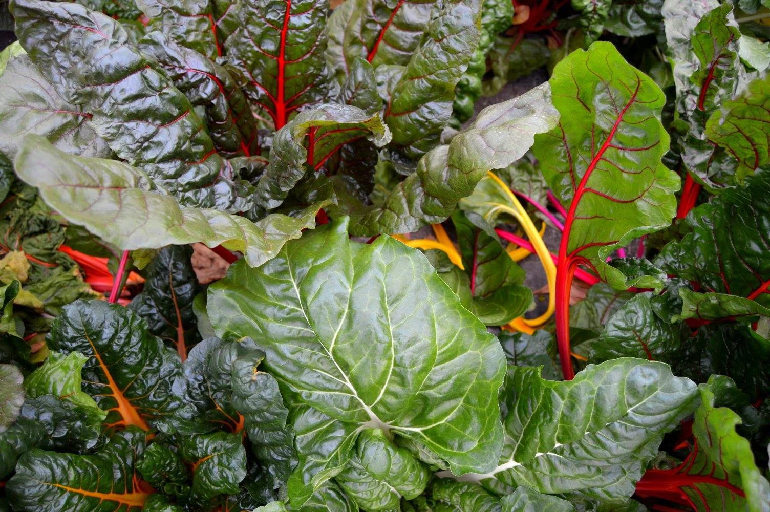 October Sample Base Box