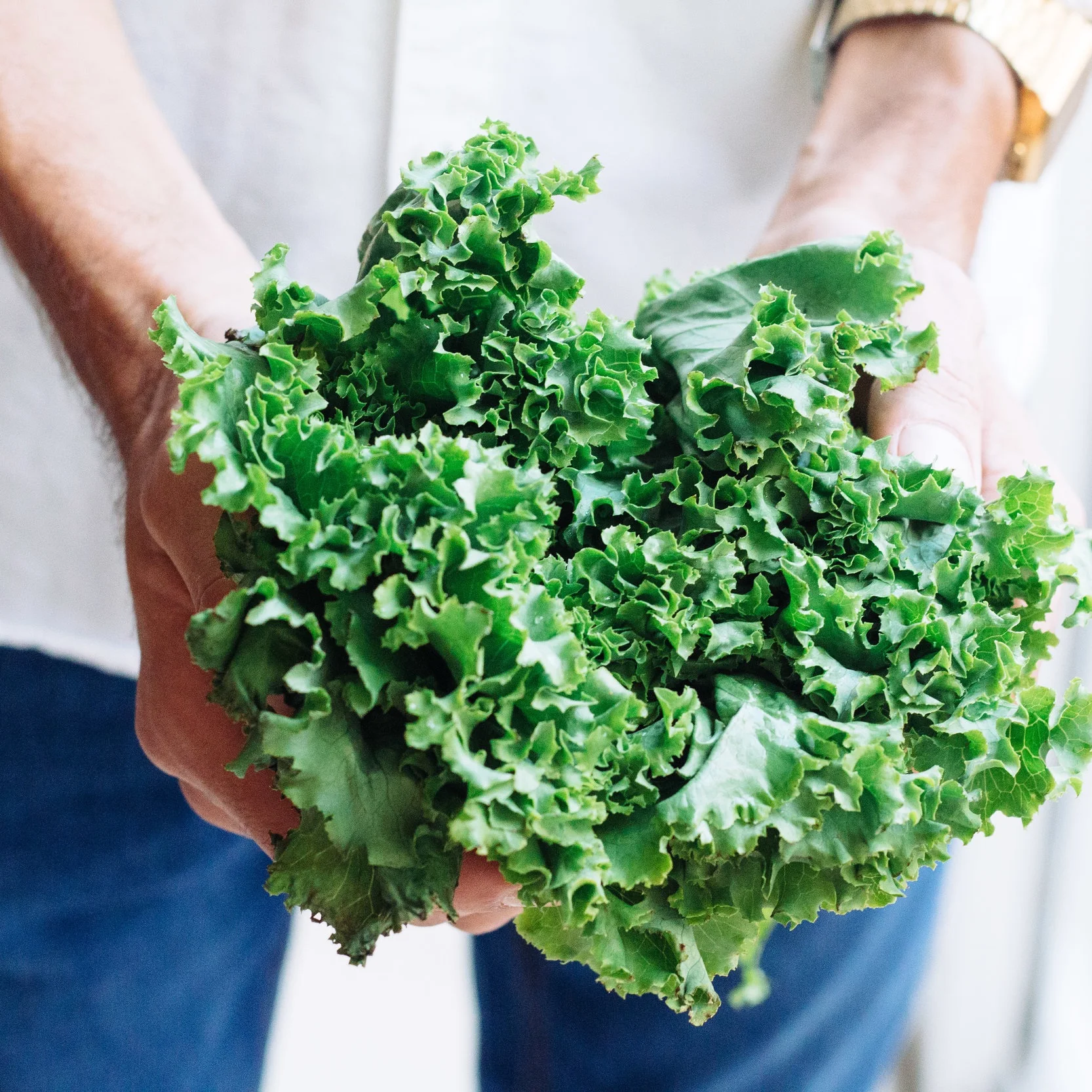 Kale Yeah!