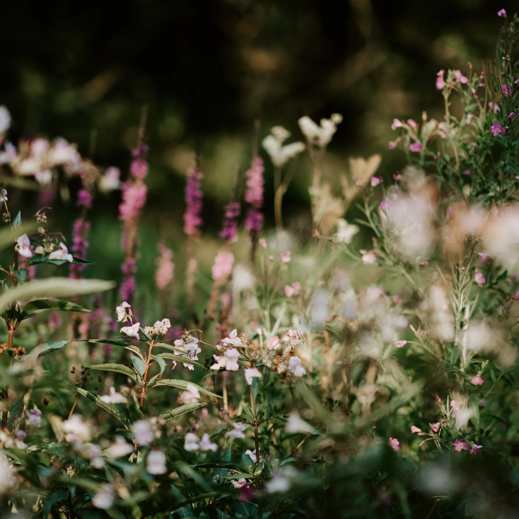 Friday Five (February 21st)