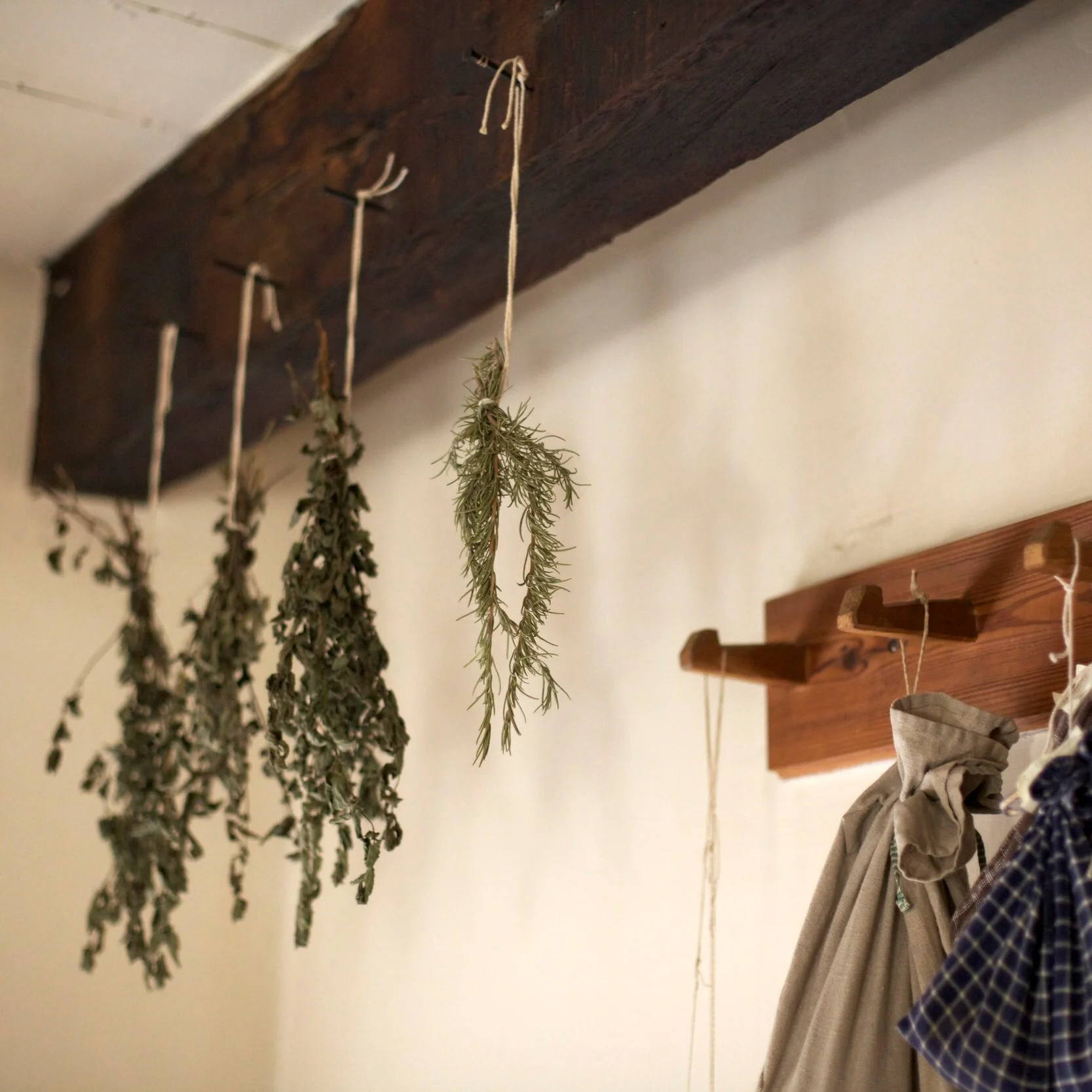 Friday Five (February 28th)