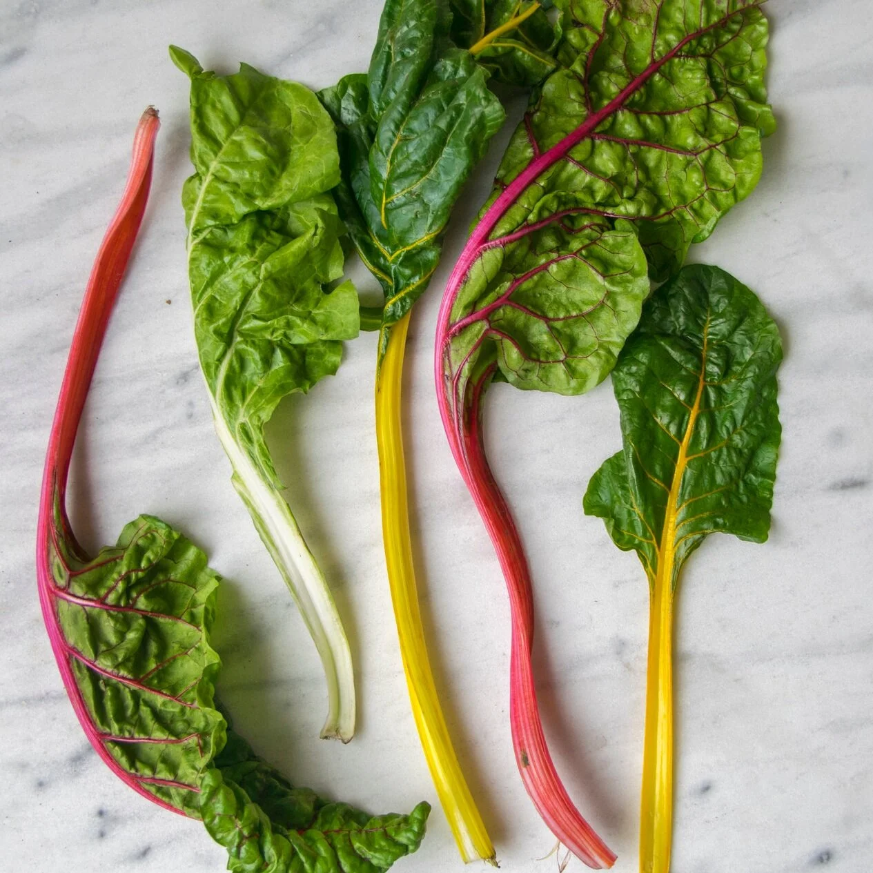 Friday Five (March 20th)