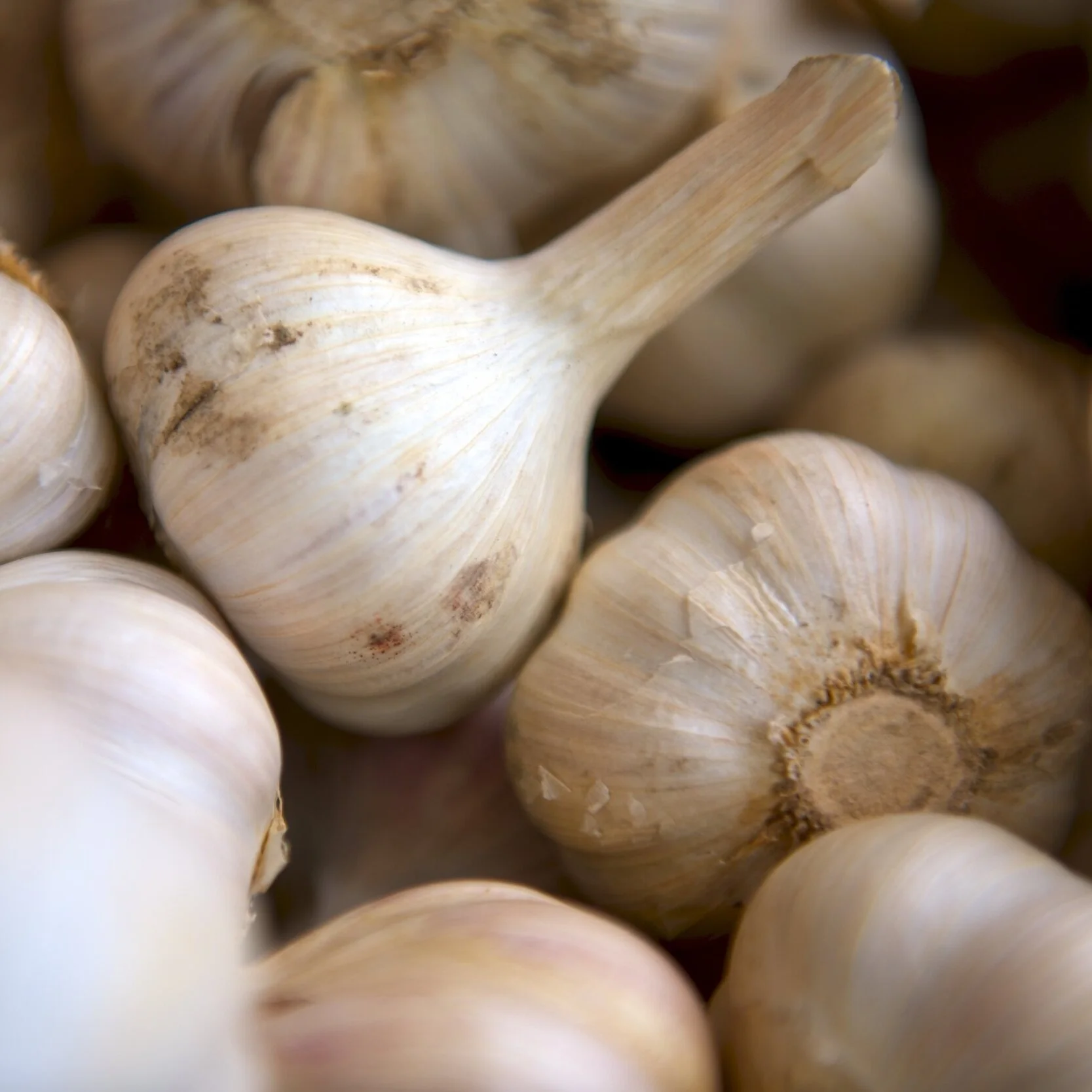 Worried About Getting Sick? Twelve Things You Can Do Today to Help