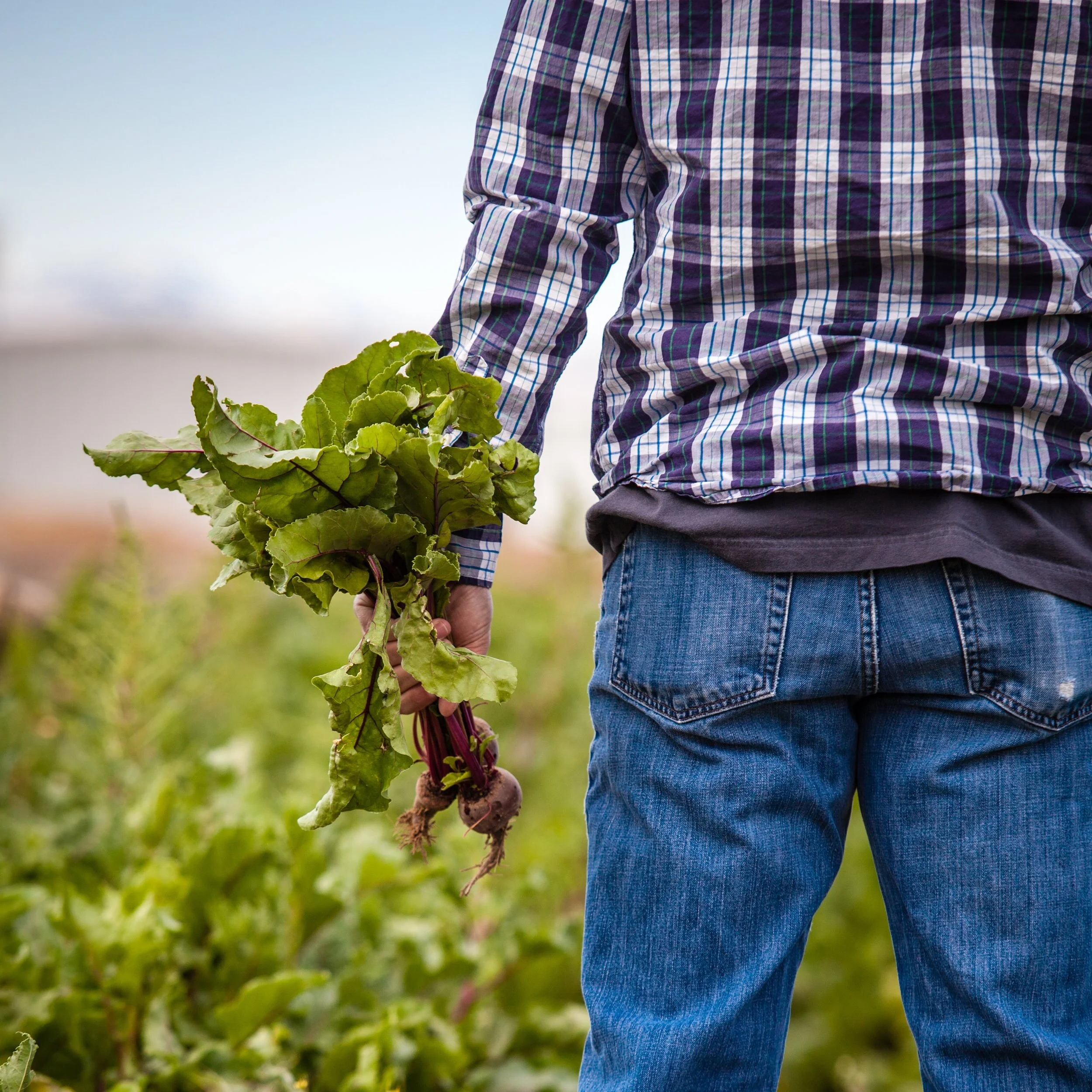 Friday Five (April 17th)