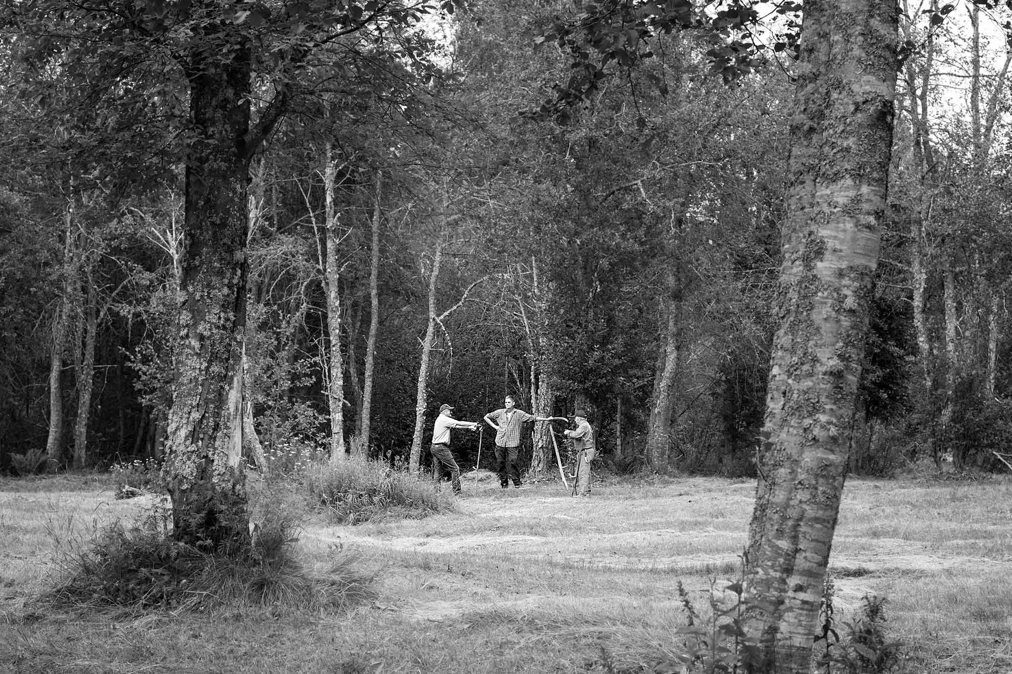 _MG_7451 Slåtter Leif, Anders, Axel 01_besk_web10.jpg