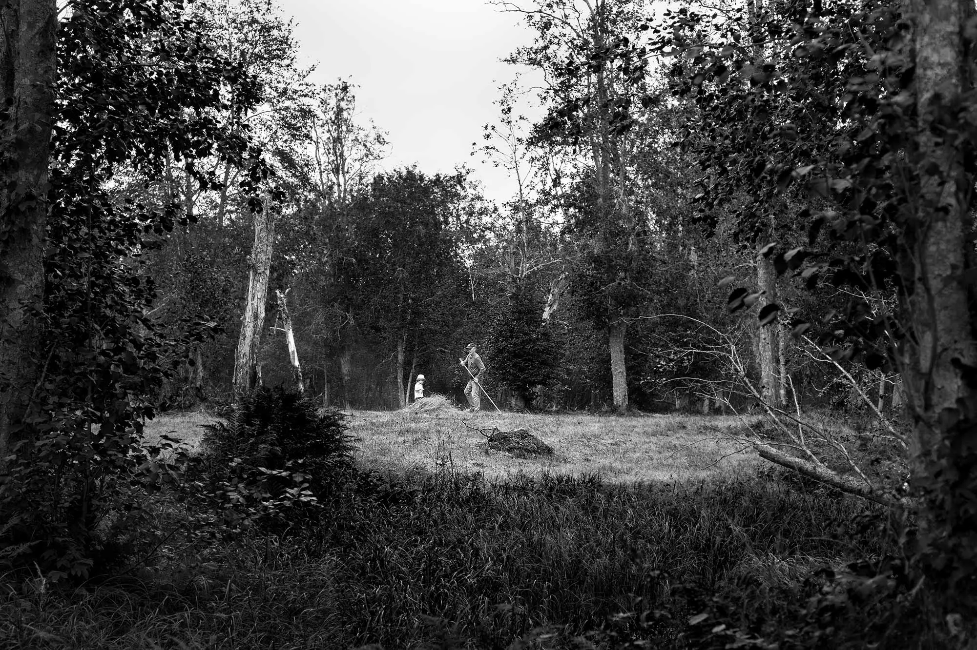 _MG_7764 Slåtter Alvar o Pappa 01_web20.jpg