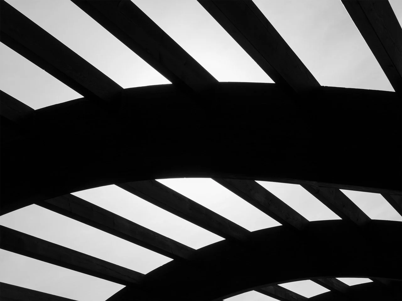 IMG_5097 barcatak_01.JPG