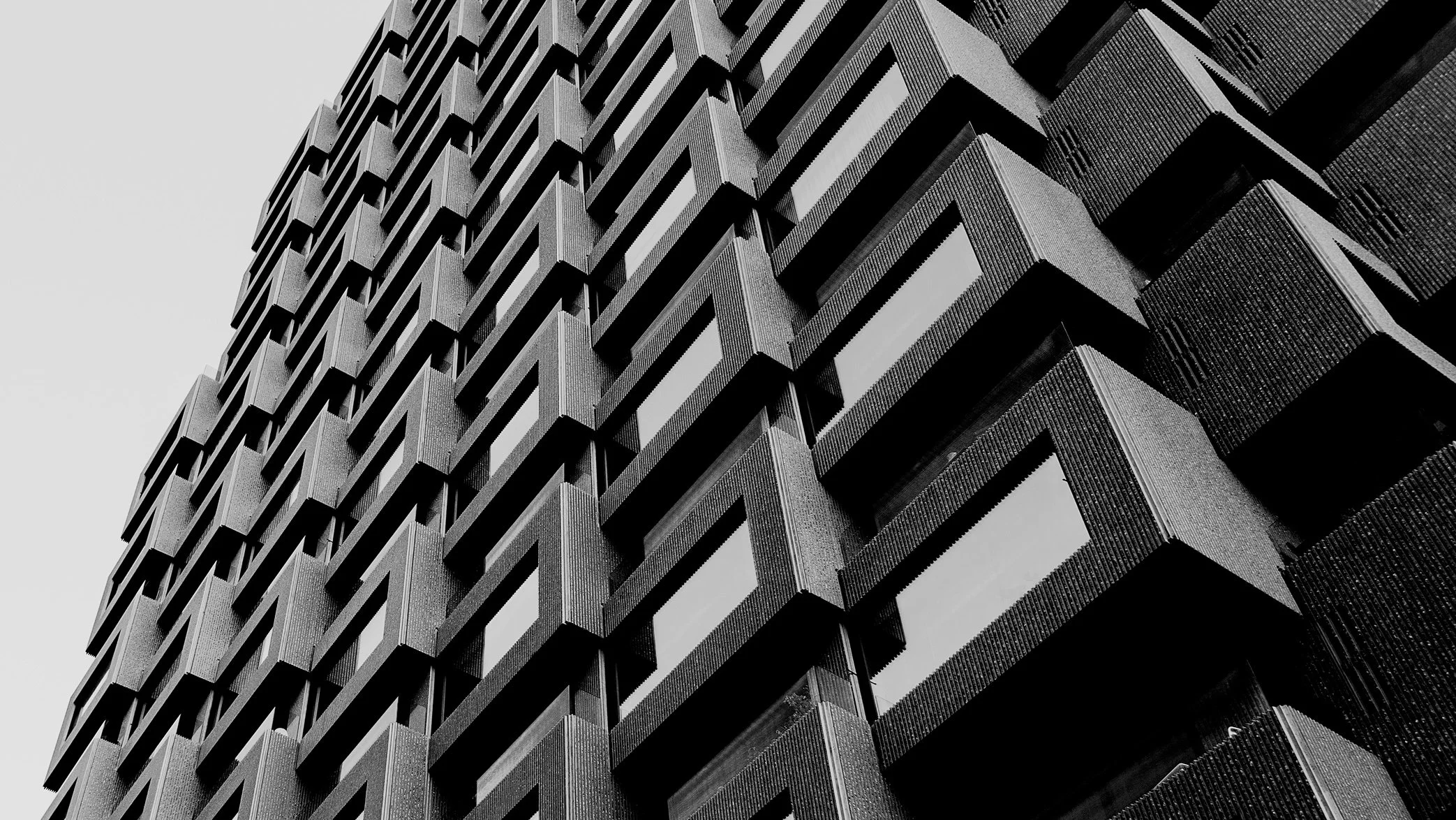 _MG_5948 Tors torn_01_BW_crop.JPG