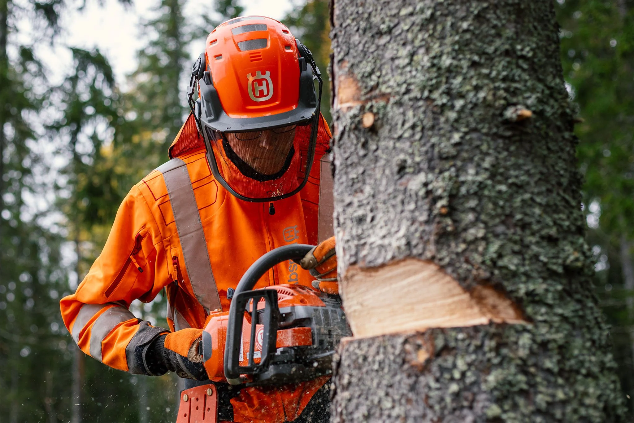 _P4A5146 Motorsågskurs_02.jpg