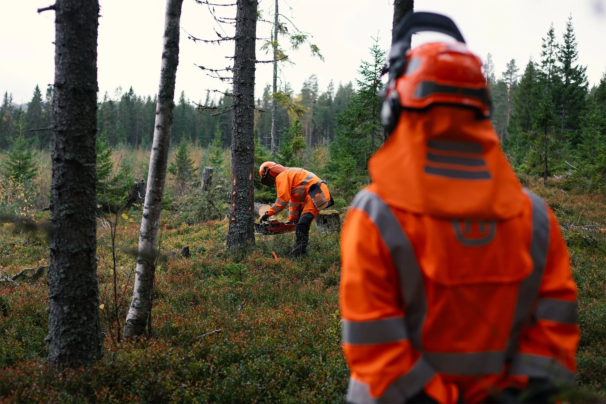 _P4A5168 Motorsågskurs_03.jpg