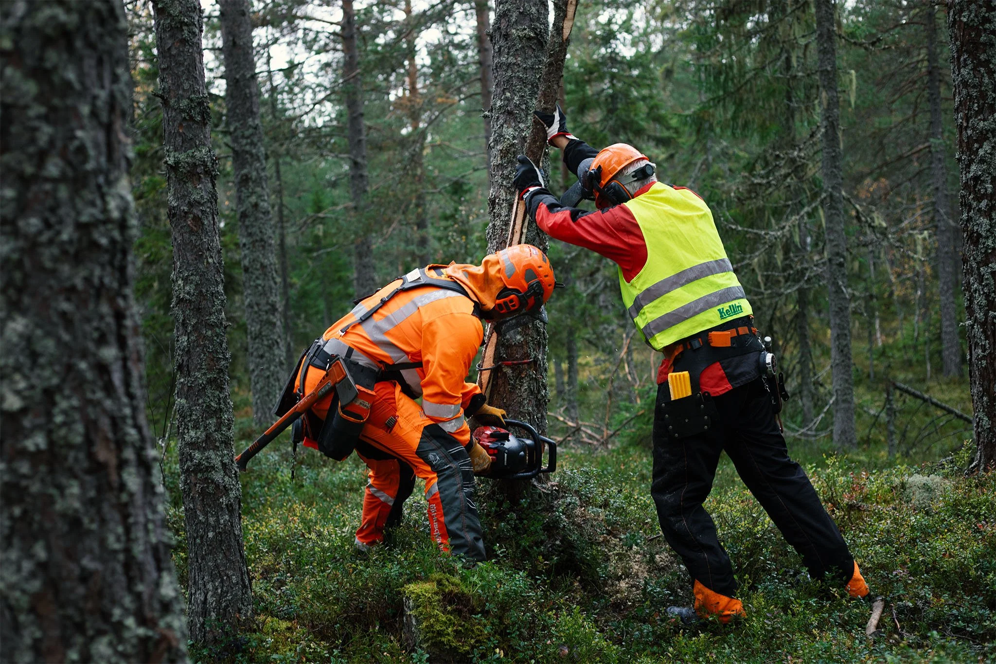 _P4A5211 Motorsågskurs_05.jpg