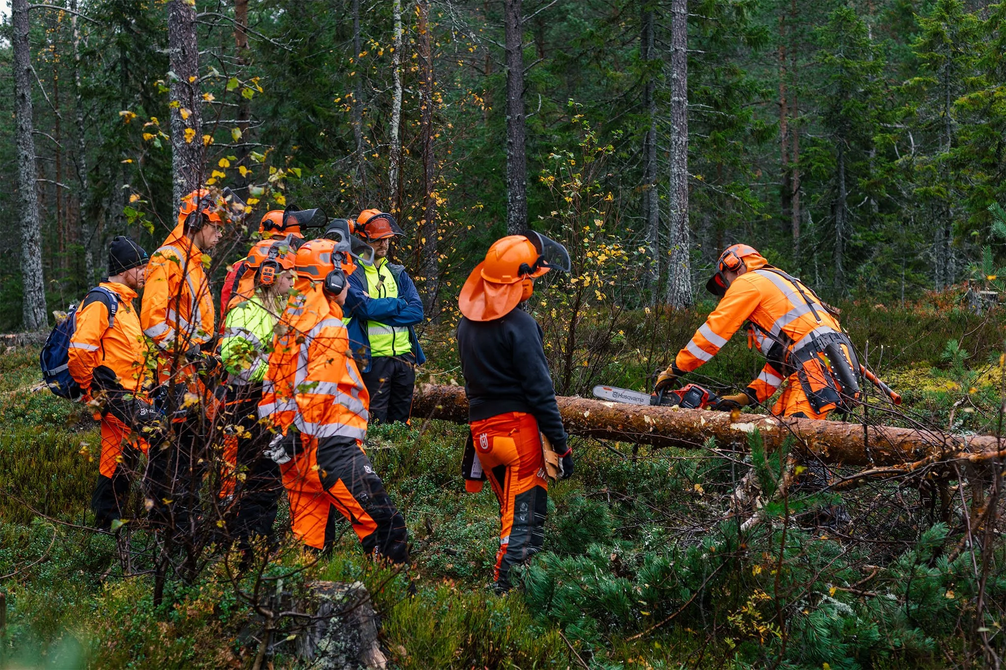 _P4A5246 Motorsågskurs_08.jpg