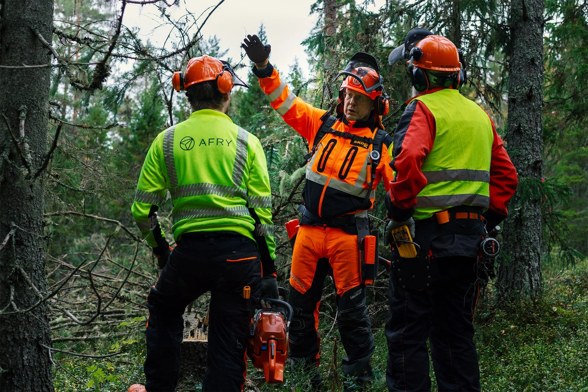 _P4A5302 Motorsågskurs_10.jpg