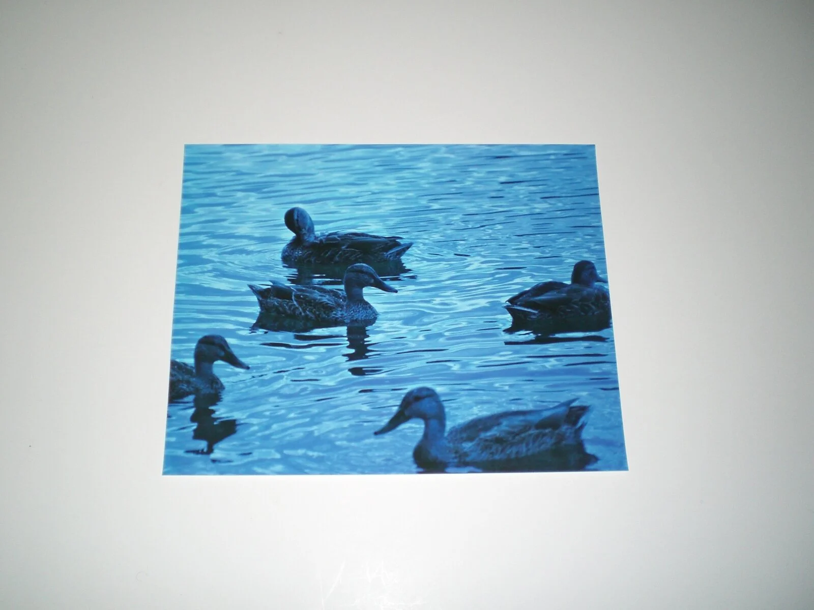 2019-04-20 10.40.04.jpg