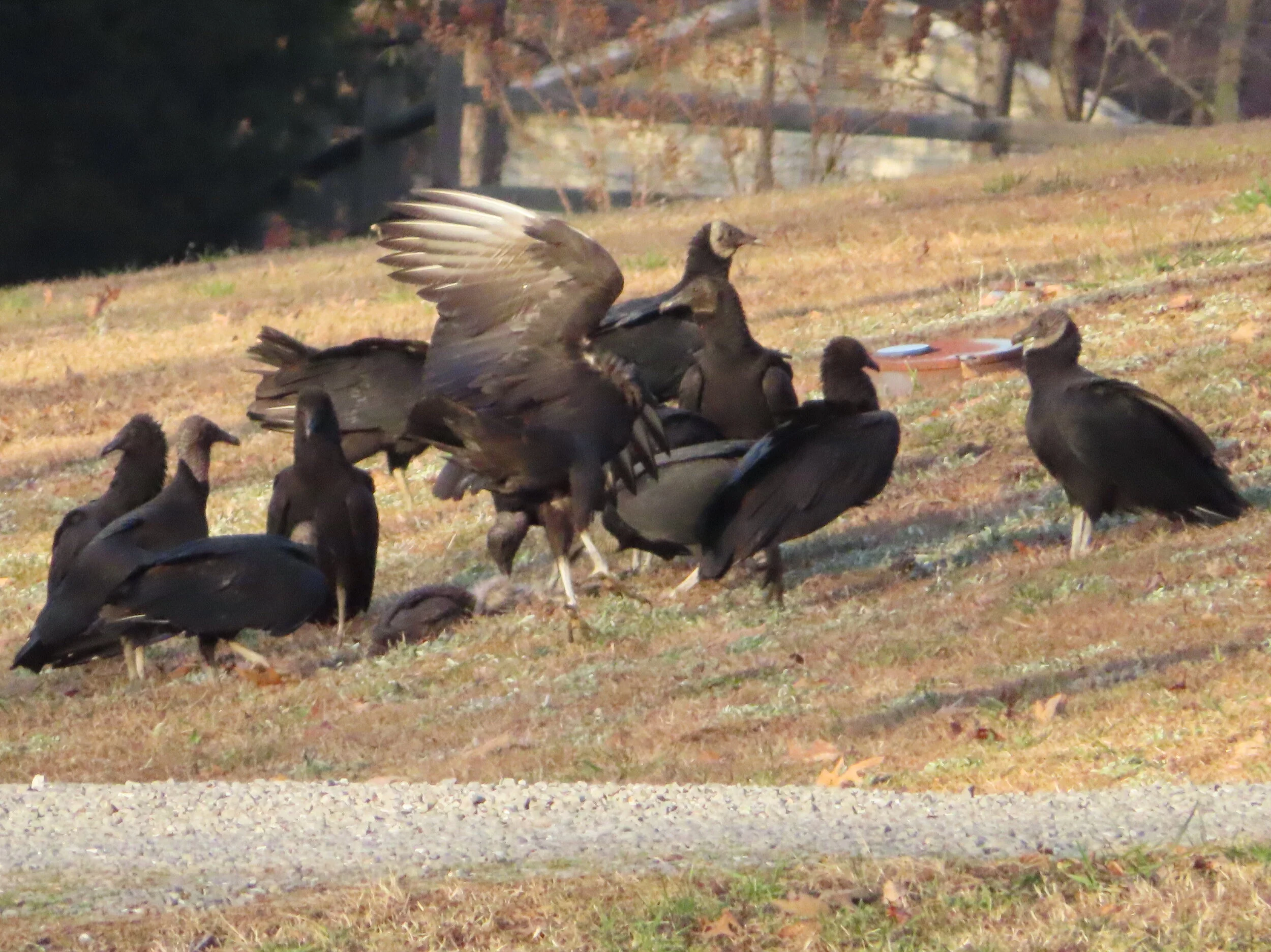 2020-12-12 04.23.12.jpg