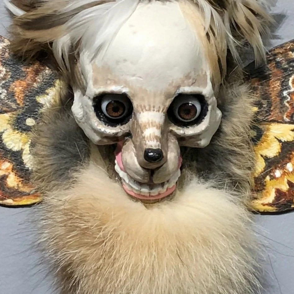 Possum%2BMagnifica.jpg