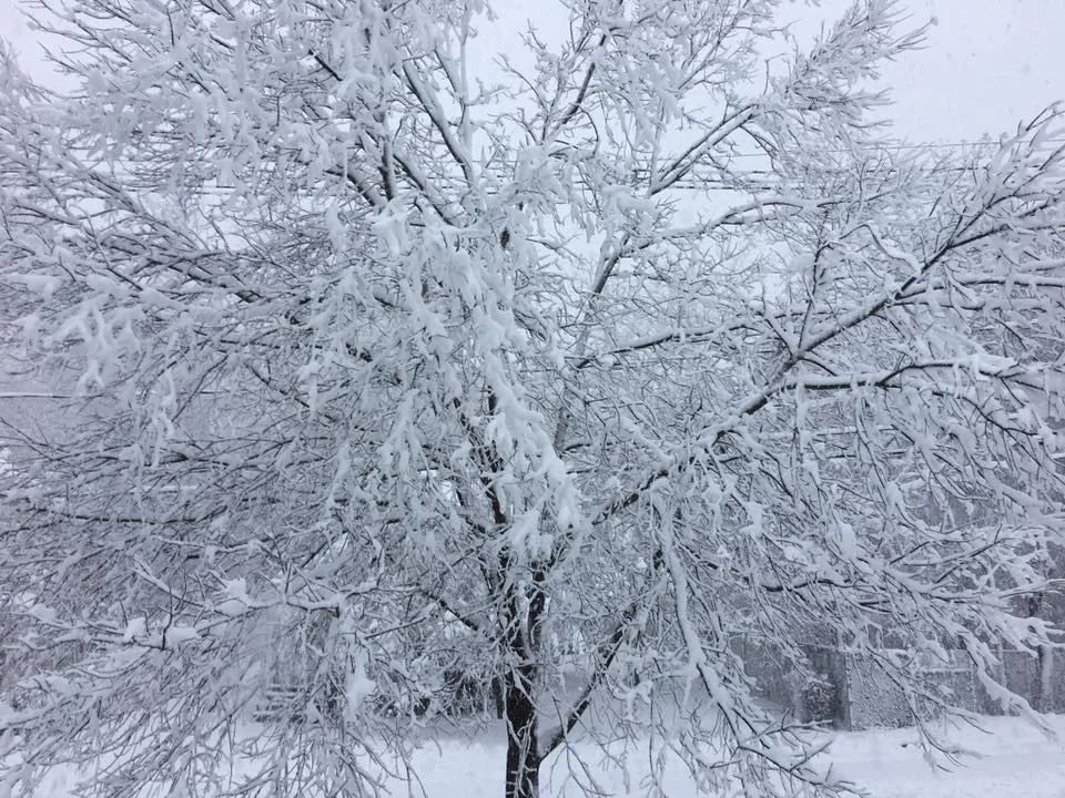 nor-easter-2018-1.jpg