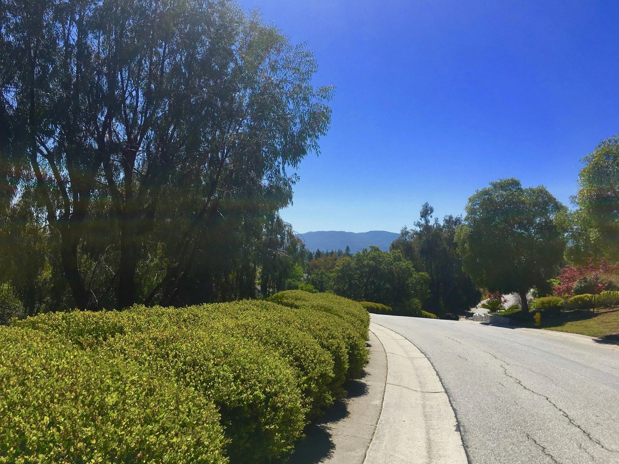 springtime-in-sf-bay-area-1.jpg