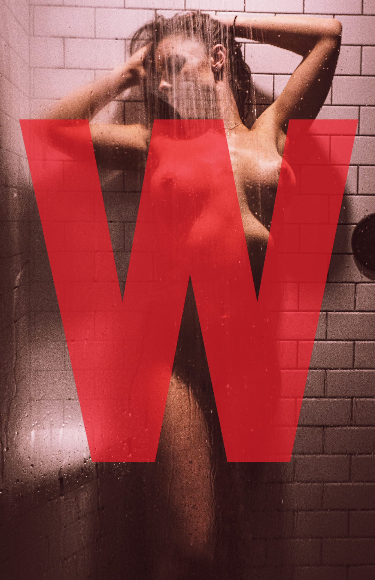 CENTERFOLD GRAPHIC.png