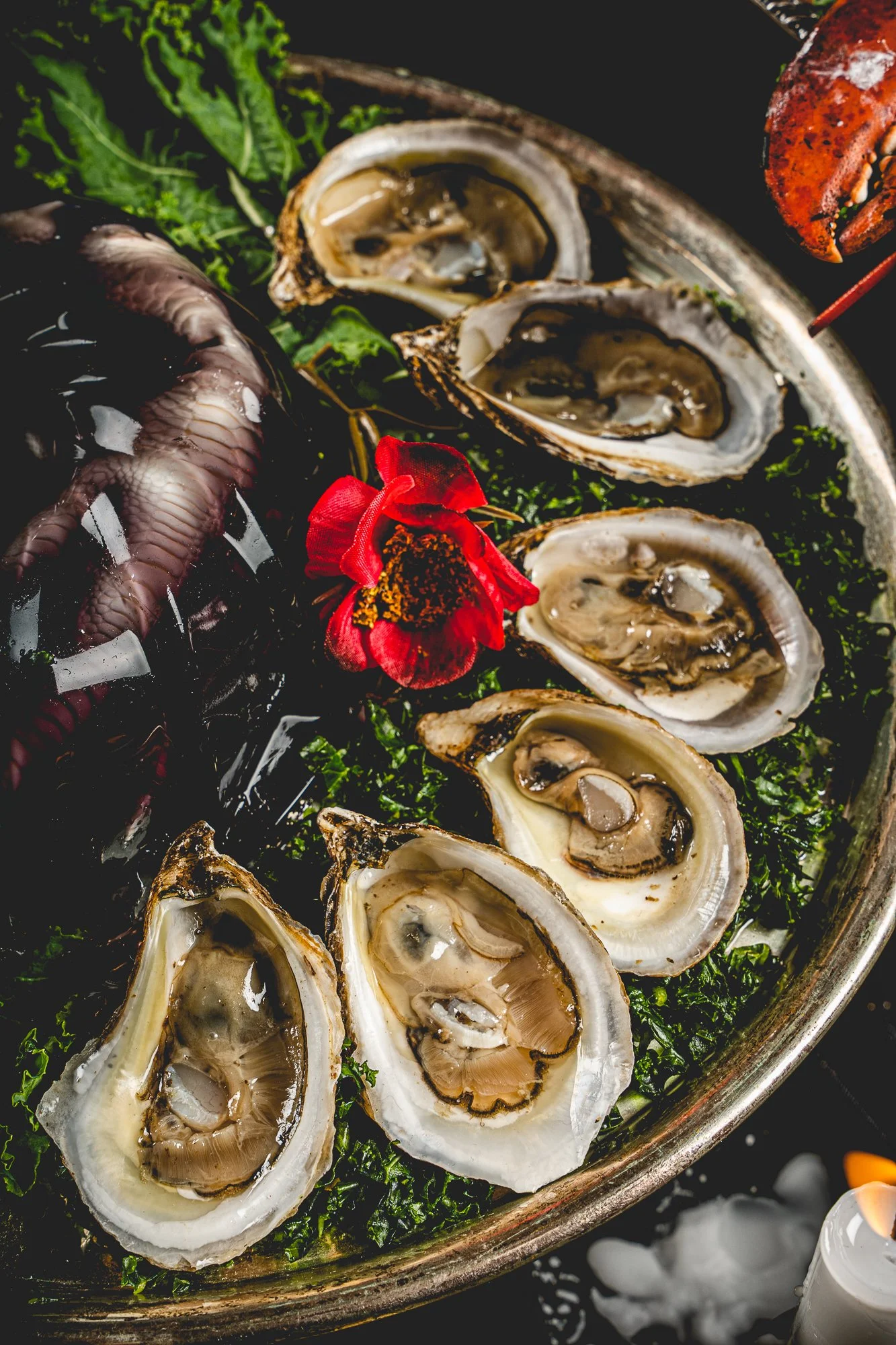  PHOTOGRAPHER:  TALISMAN MEDIA CO.   CREATIVE DIRECTOR: L.A. WEST 