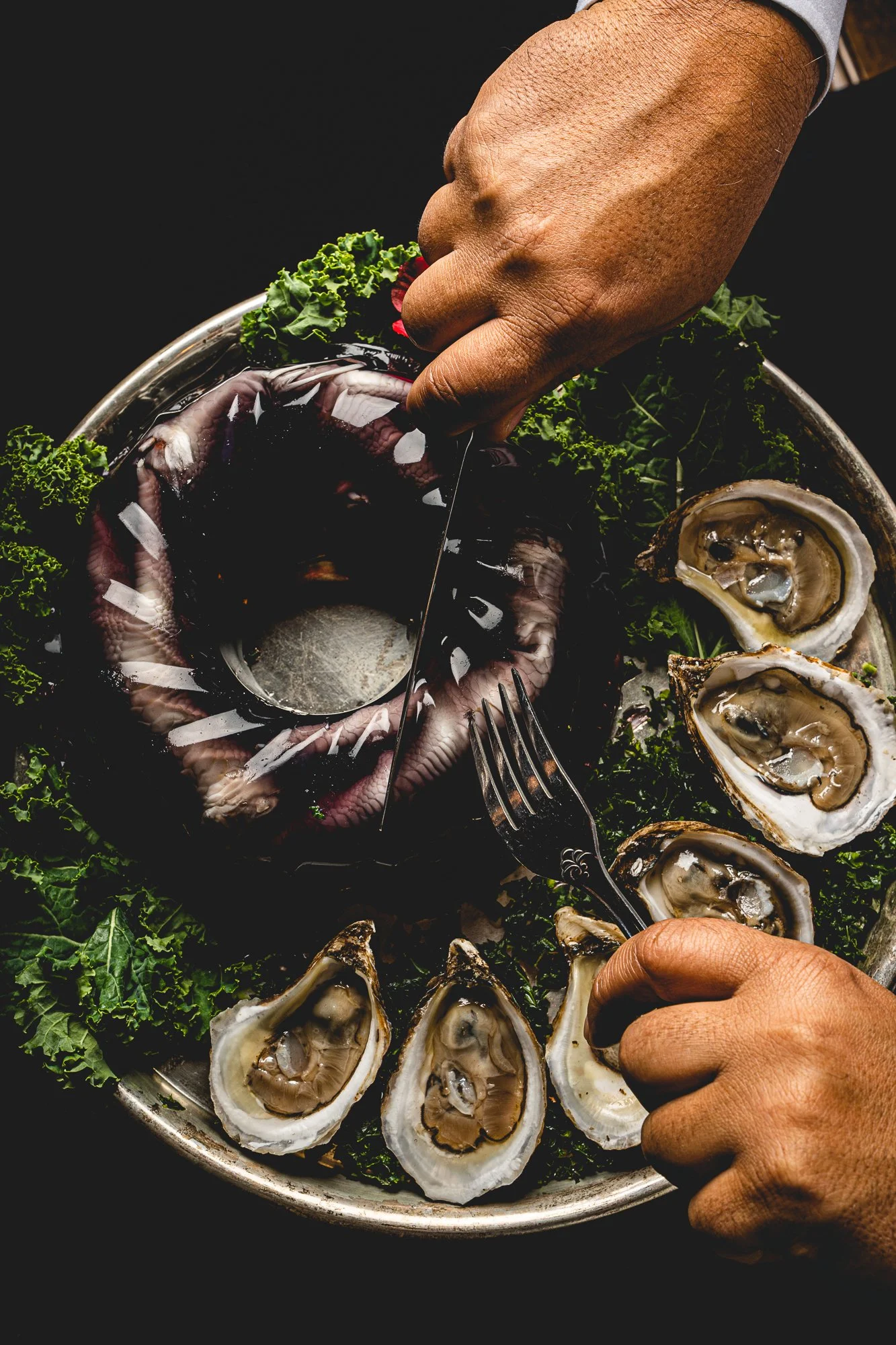  PHOTOGRAPHER:  TALISMAN MEDIA CO.   CREATIVE DIRECTOR: L.A. WEST 