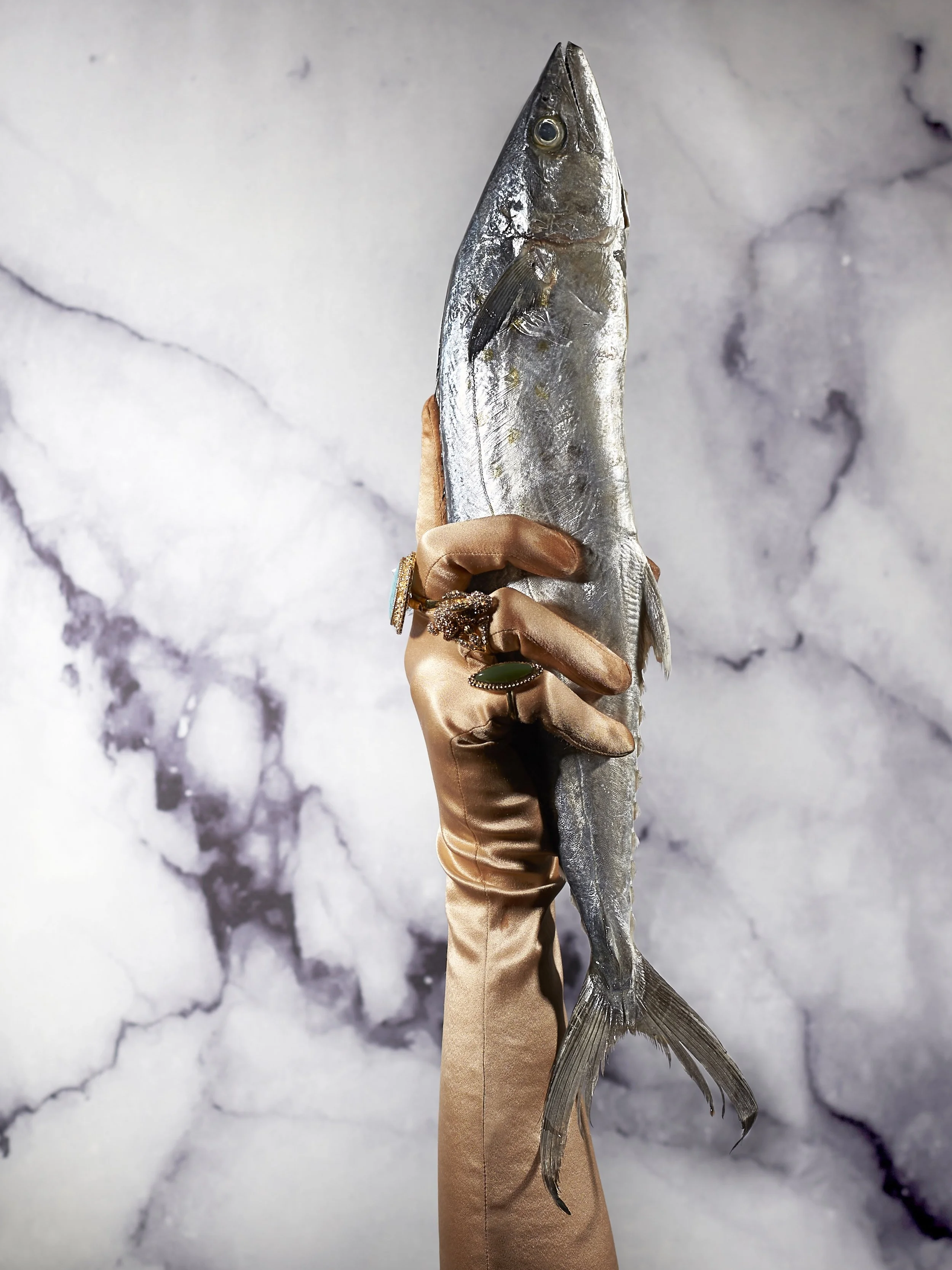  PHOTOGRAPHER:  BANKO CREATIVE STUDIO   CREATIVE DIRECTOR: L.A. WEST 