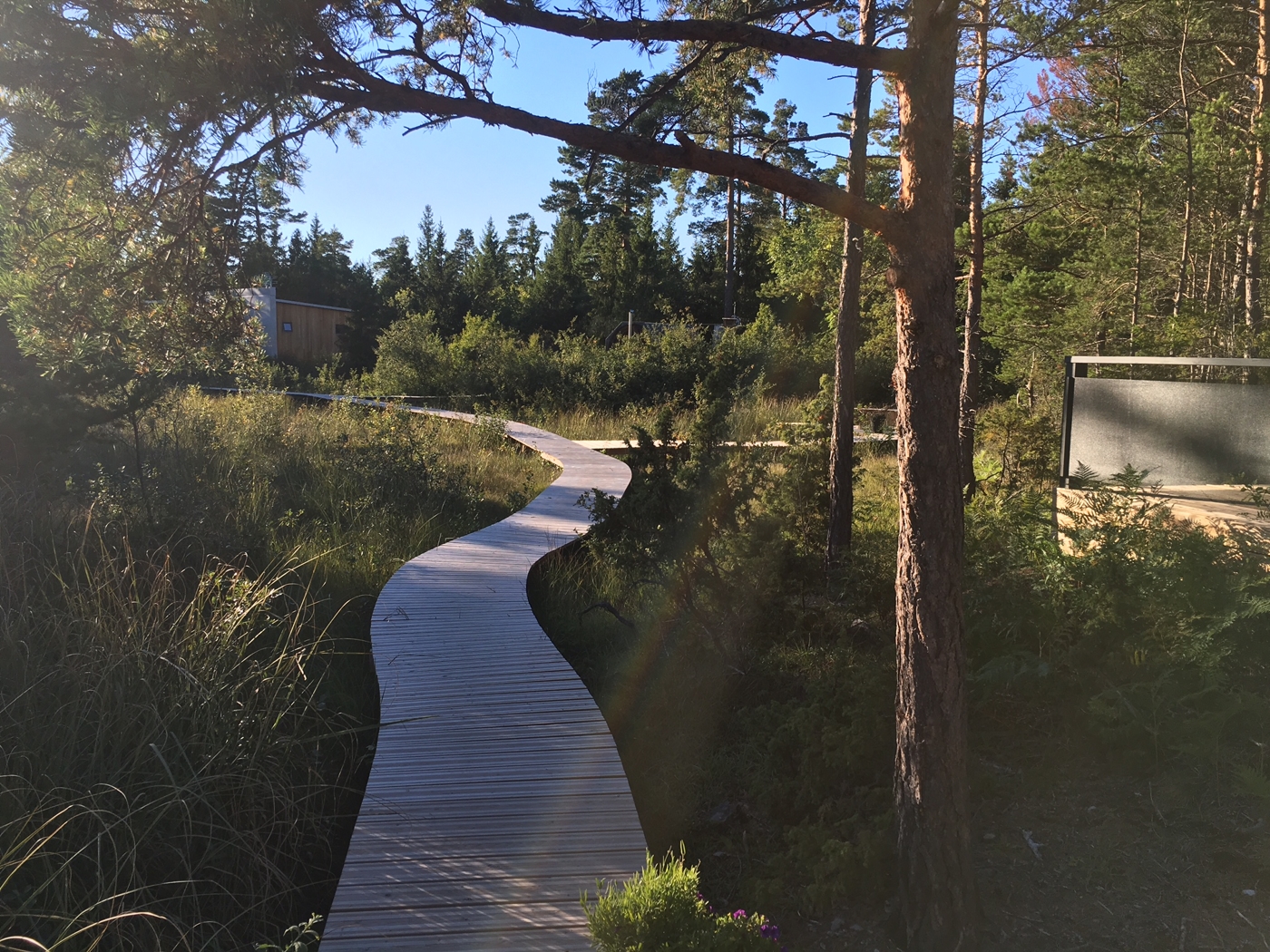 Mavens Kustnära Stugor (1/3)