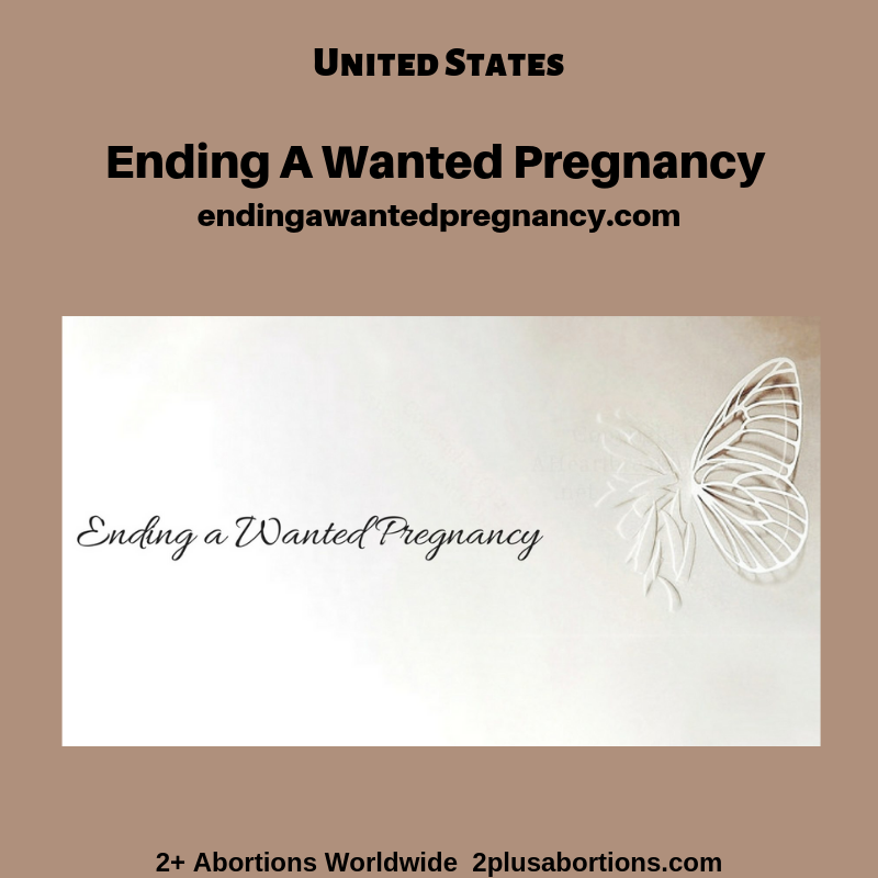 2+ Abortions Worldwide 2plusabortins.com (1).png