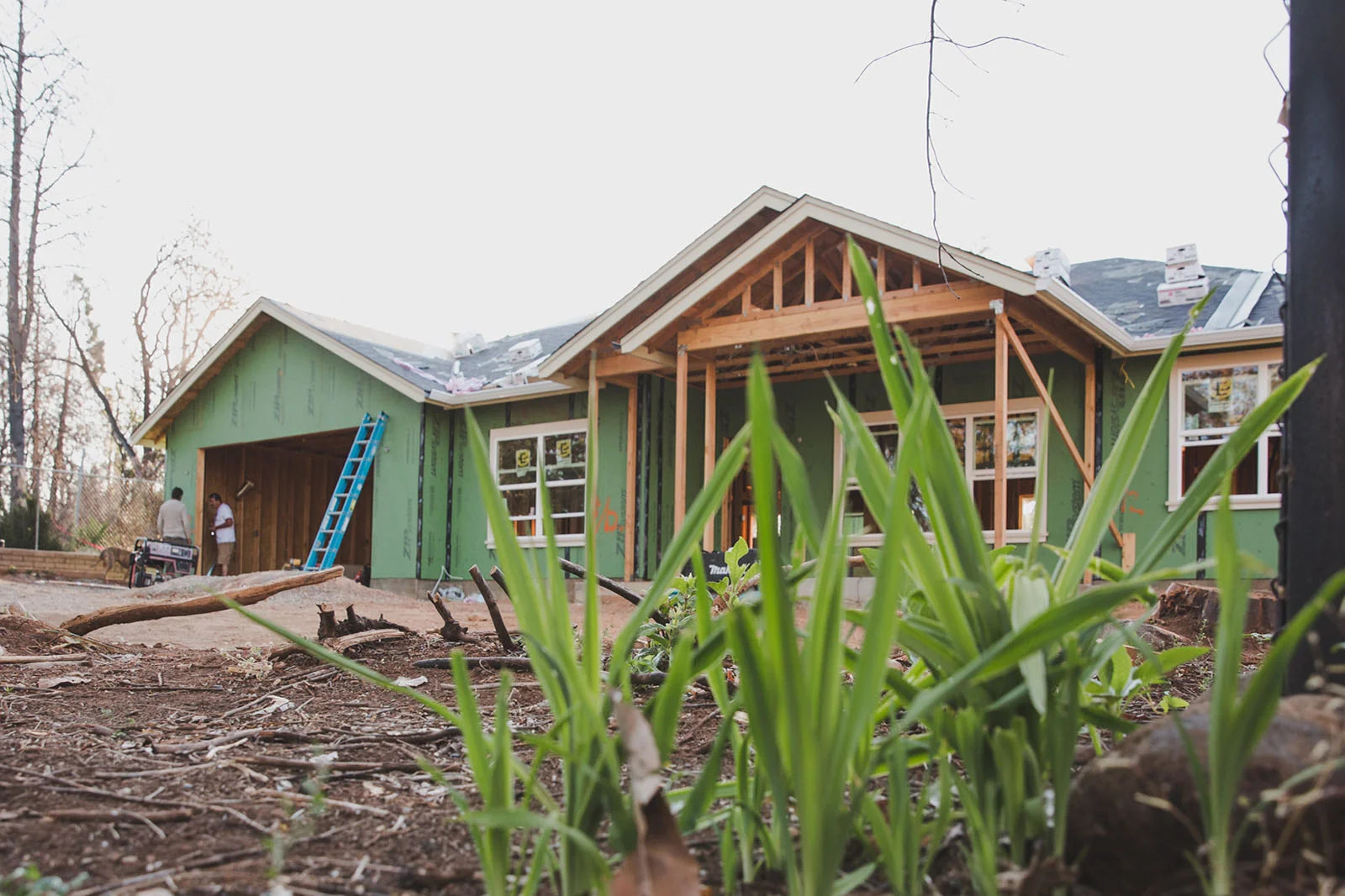 AVH_Photography_blue_flamingo_paradise_rebuild_home_1600.jpg