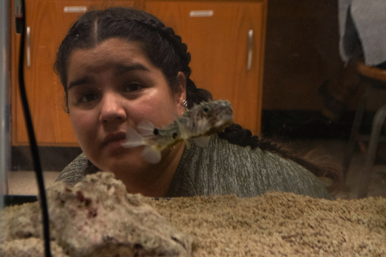  Boyce’s favorite animal she’s taken care of was Fitz the pufferfish. She helped pick him out when on an excursion with members of the lab. They brought him back because he was calm and did not puff up in their presence. Looking back, Boyce realized 