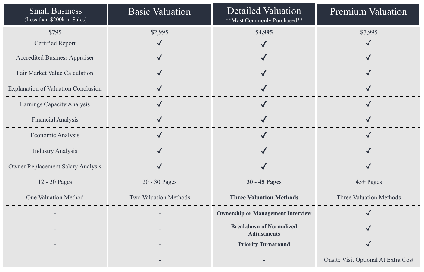 Business Valuation and Appraisal Cost.png