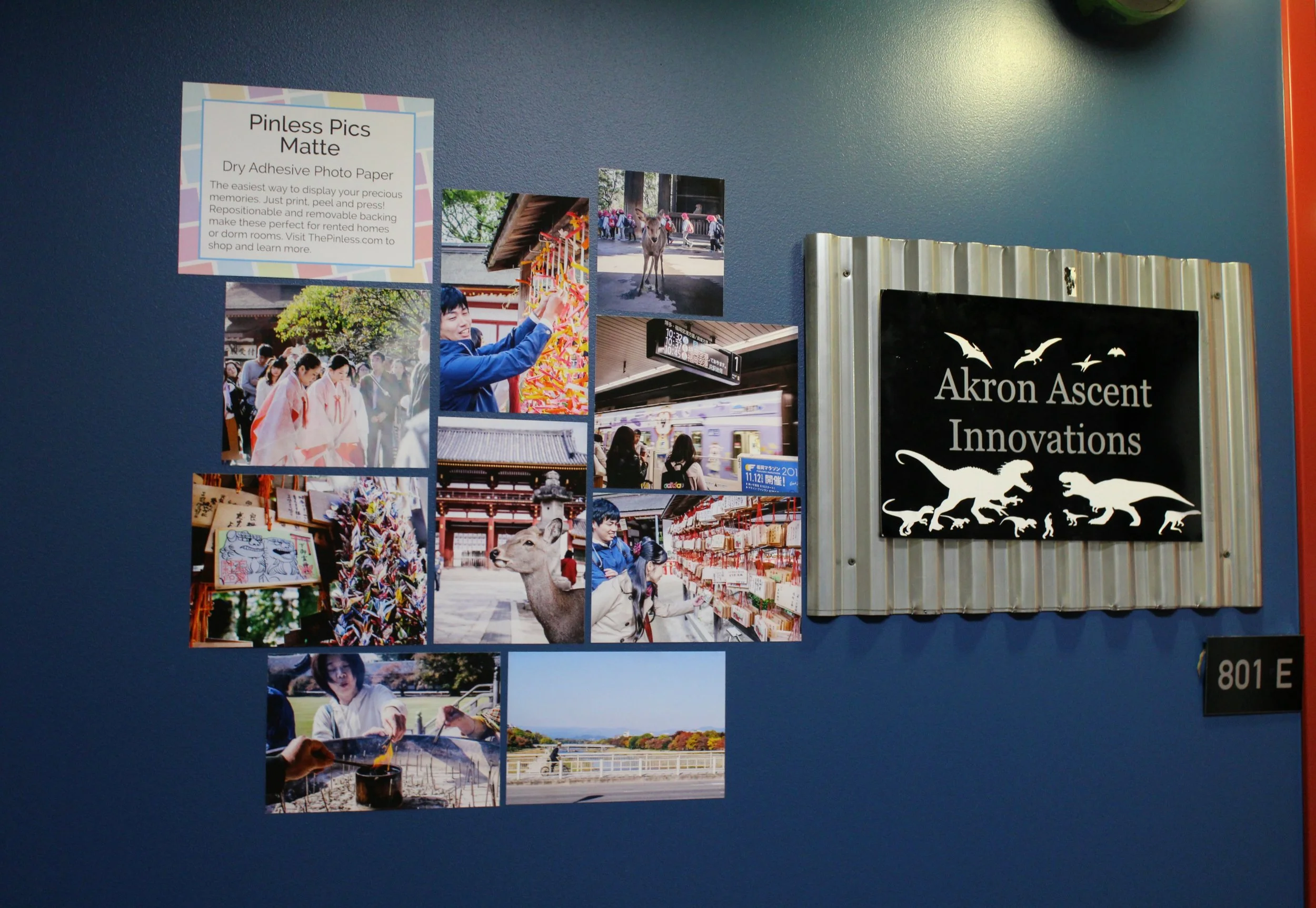 Megan created a beautiful photo collage with some of her photography to showcase the capabilities of Pinless Pics.