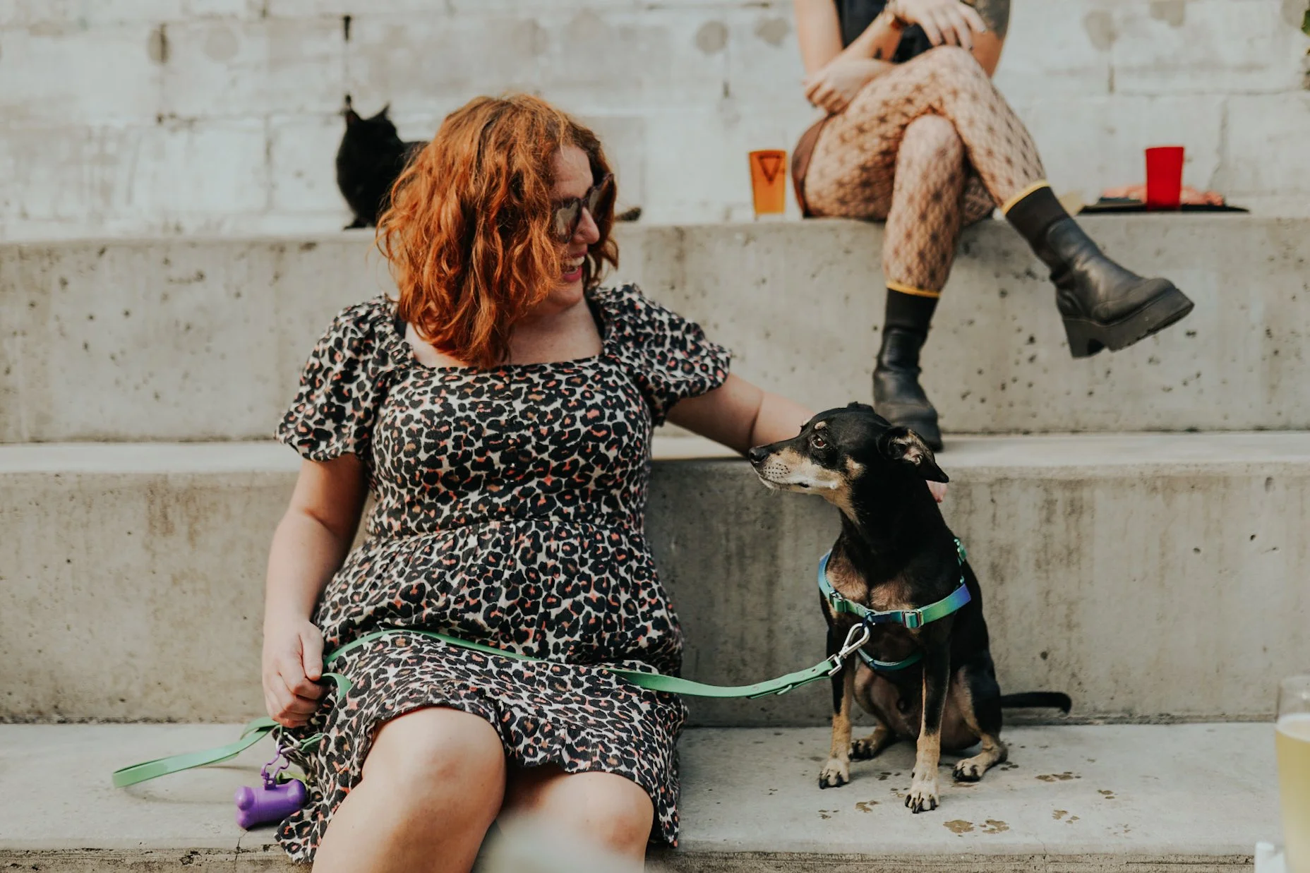 PGH Astrology Tarot Night (w/Sadie)