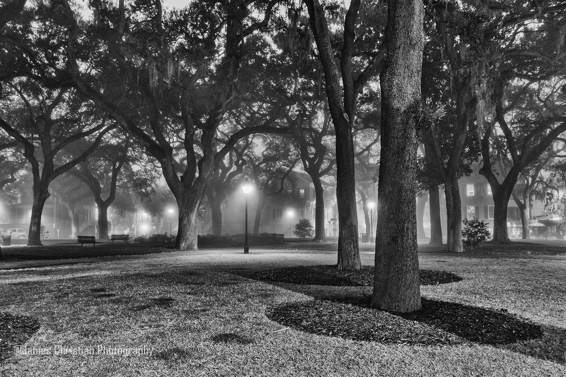negs-2-13-19.-5 copy.jpg
