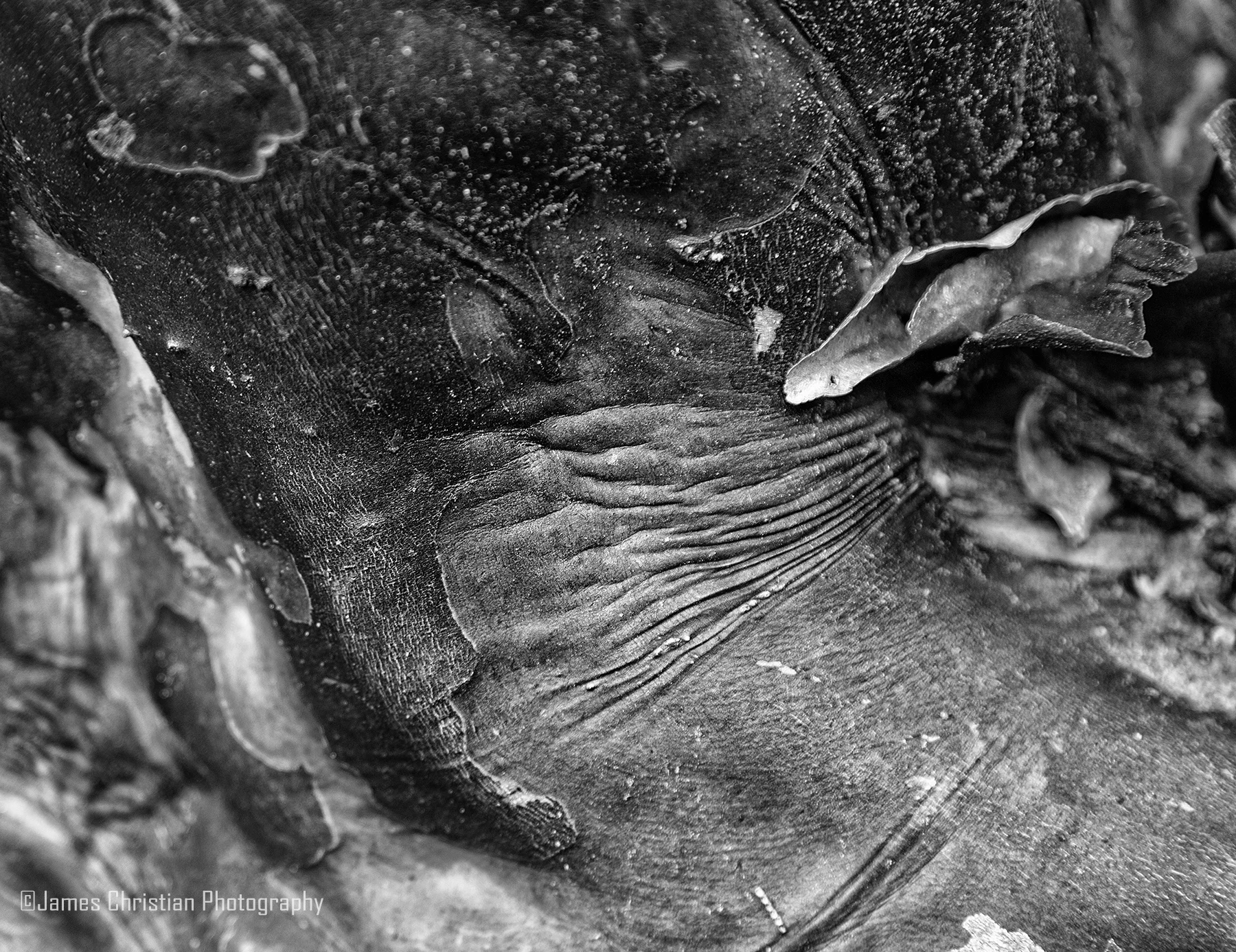 negs-2-19-19.-9 copy.jpg