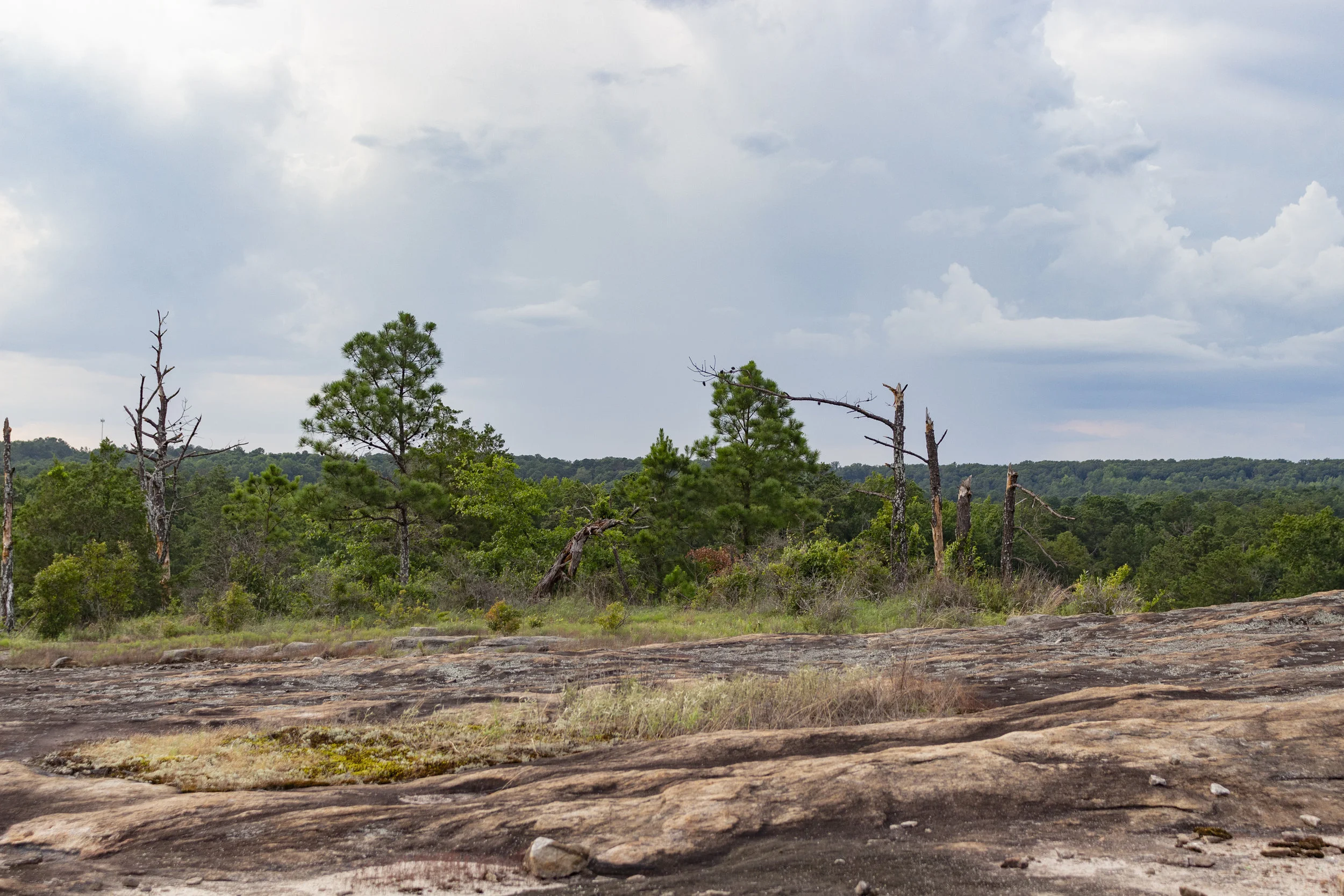 conyers-2019-12.jpg