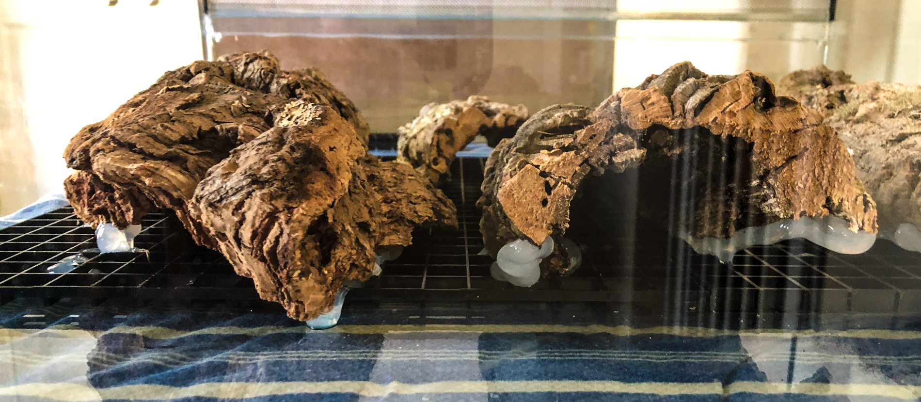 This is a side view, showing the wood siliconed to (and through) the egg crate. The egg crate is also siliconed to the glass.