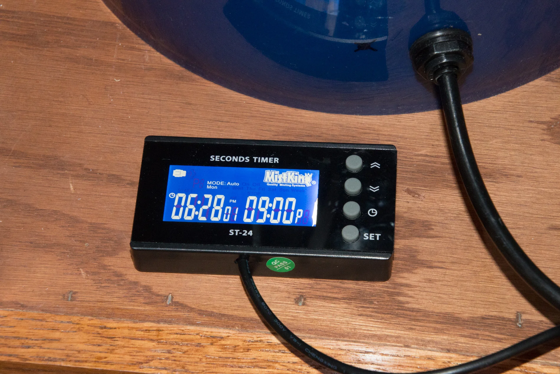 EuroStyle Vivarium — Glass Jungles