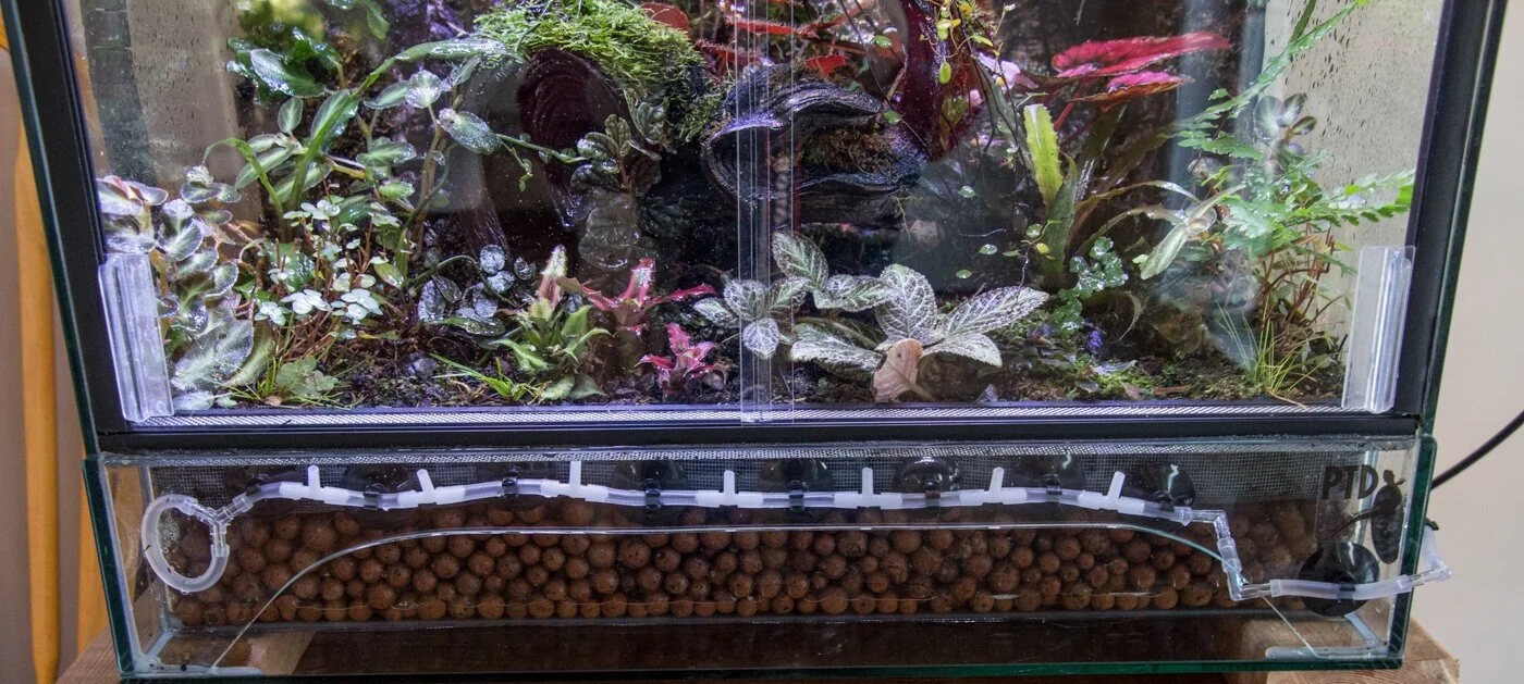 Solving Problems with Condensation — Glass Jungles